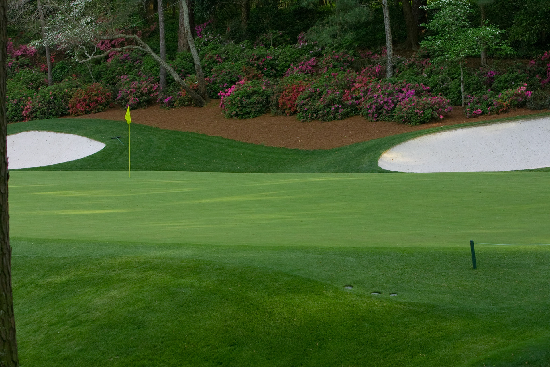 No. 13 green