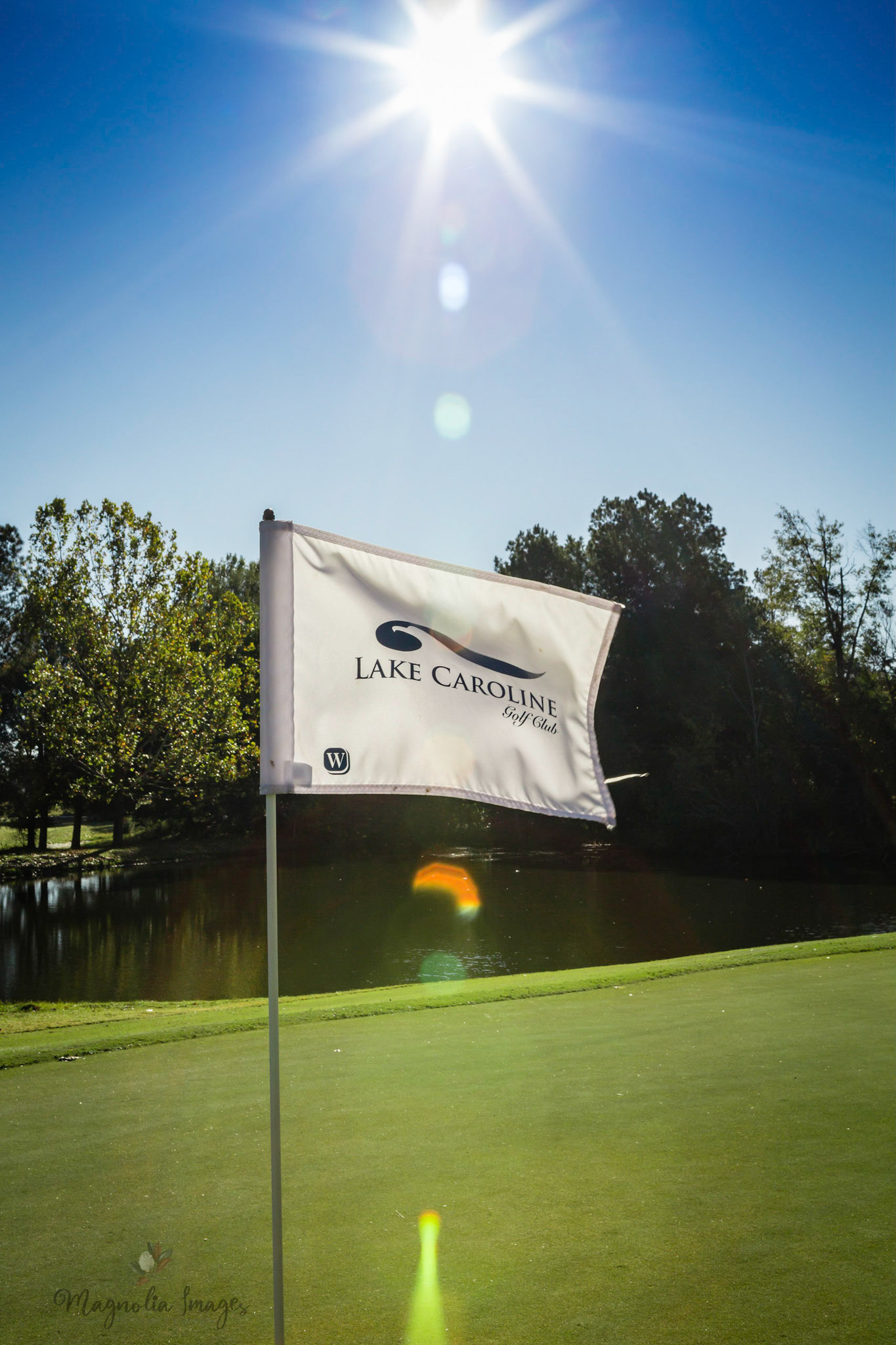 Backlit flag