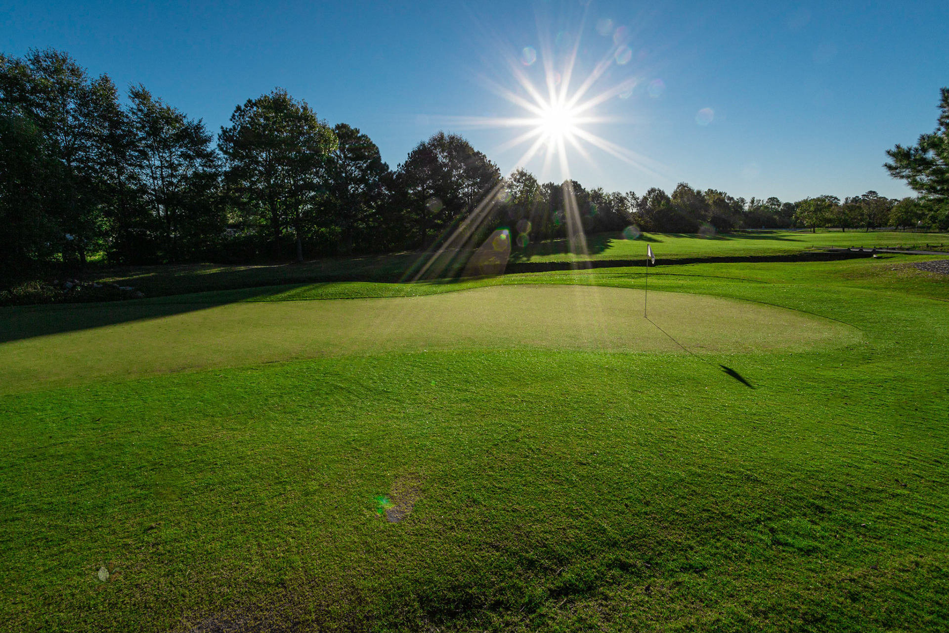 The sun-drenched green of No. 2