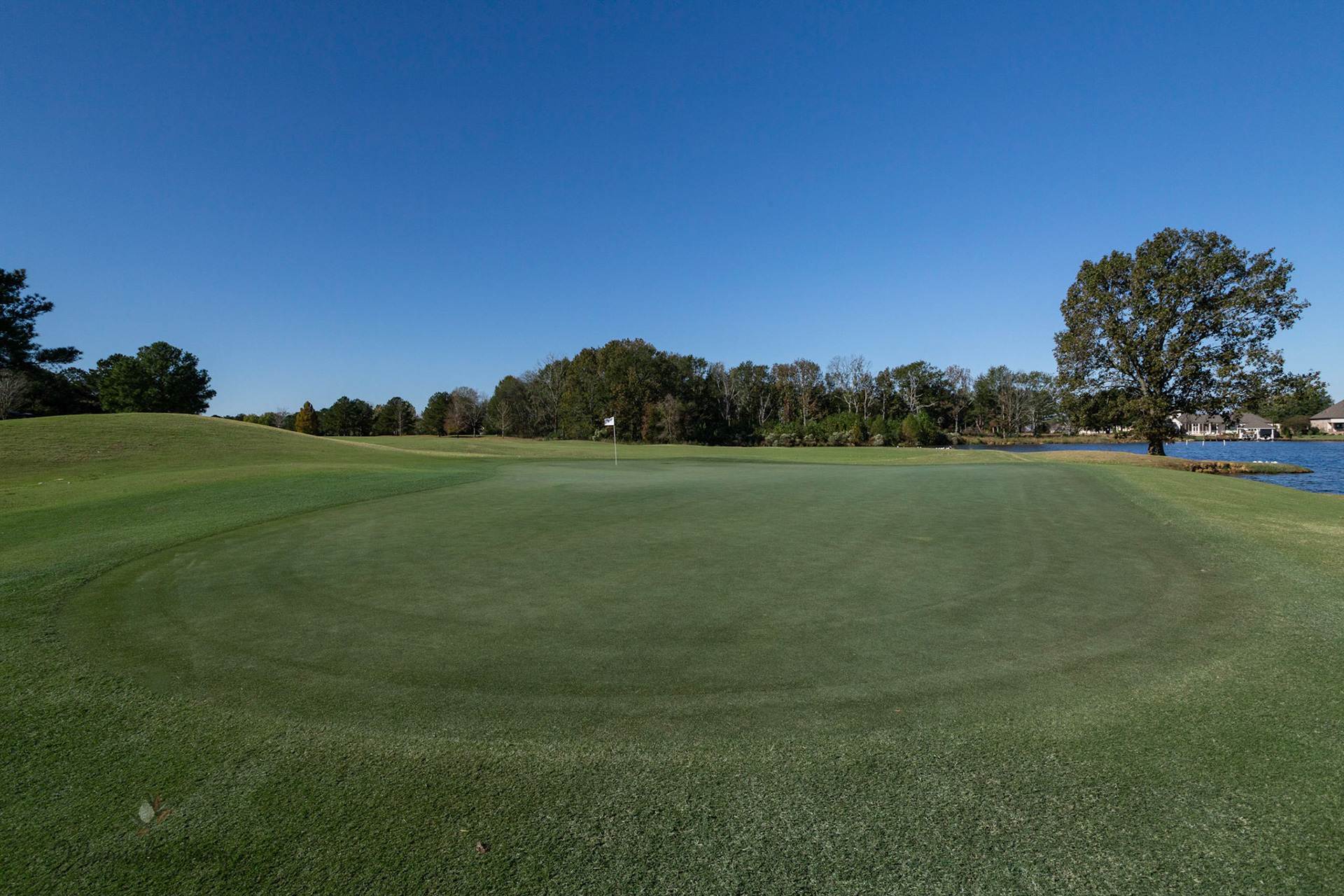 Deep green of No. 7