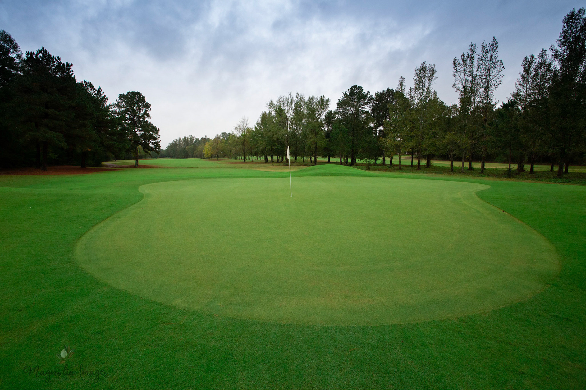 The narrow fairway of No. 5 from the back of the green