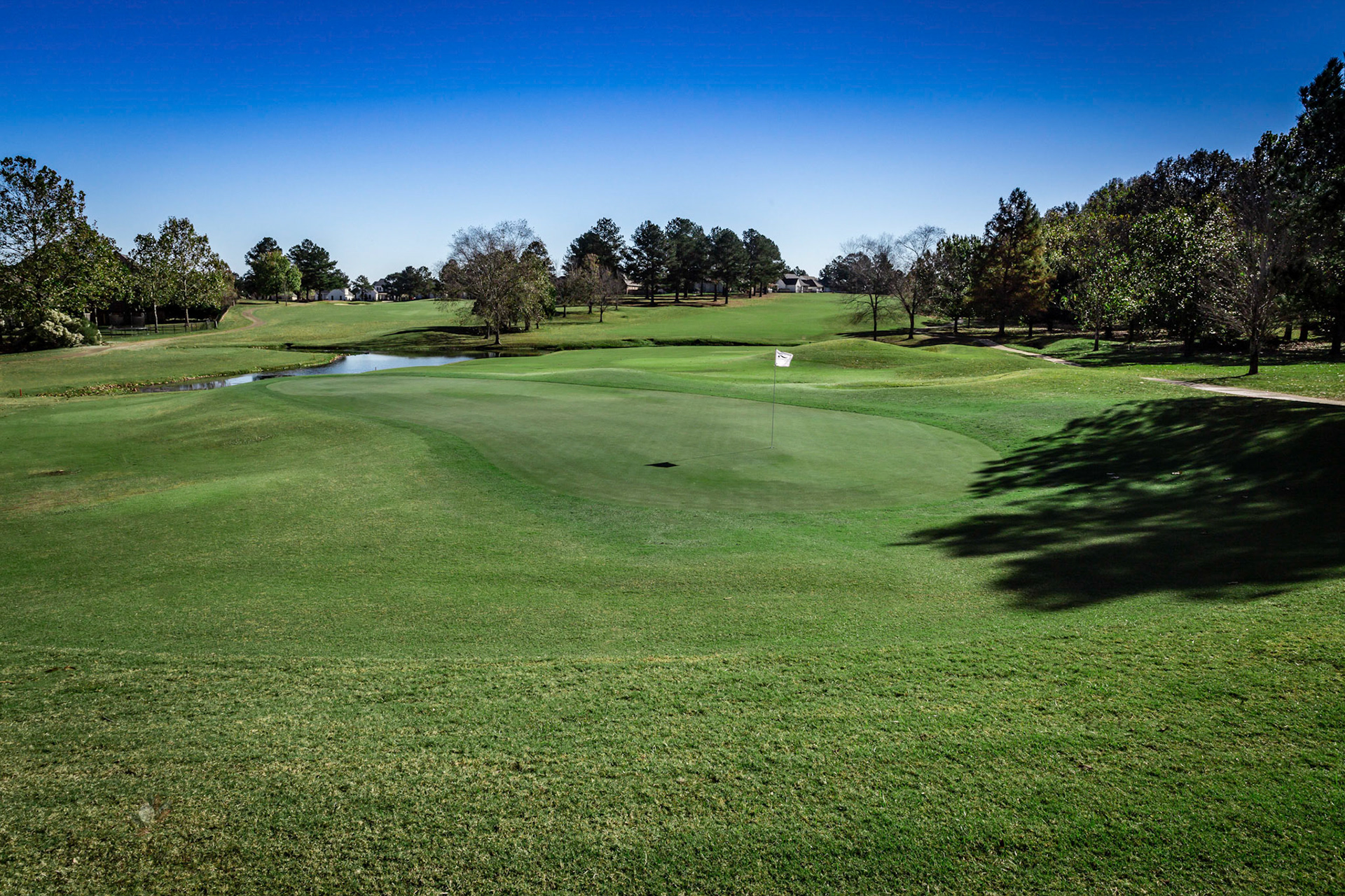 The split fairways of No. 5 and No. 6