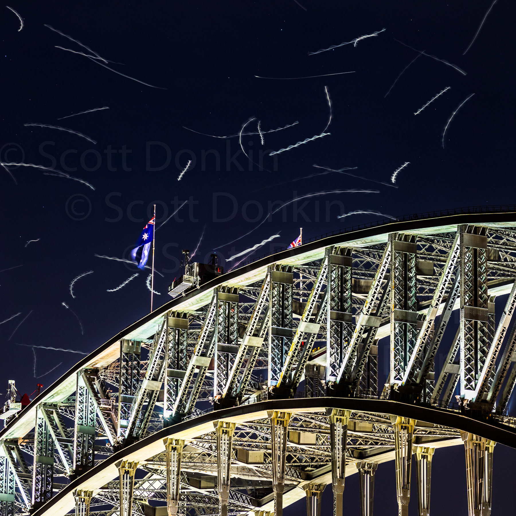 A long exposure records the movement of Silver Gulls as they dart above the Sydney Harbour Bridge, catching insects in the lights.
