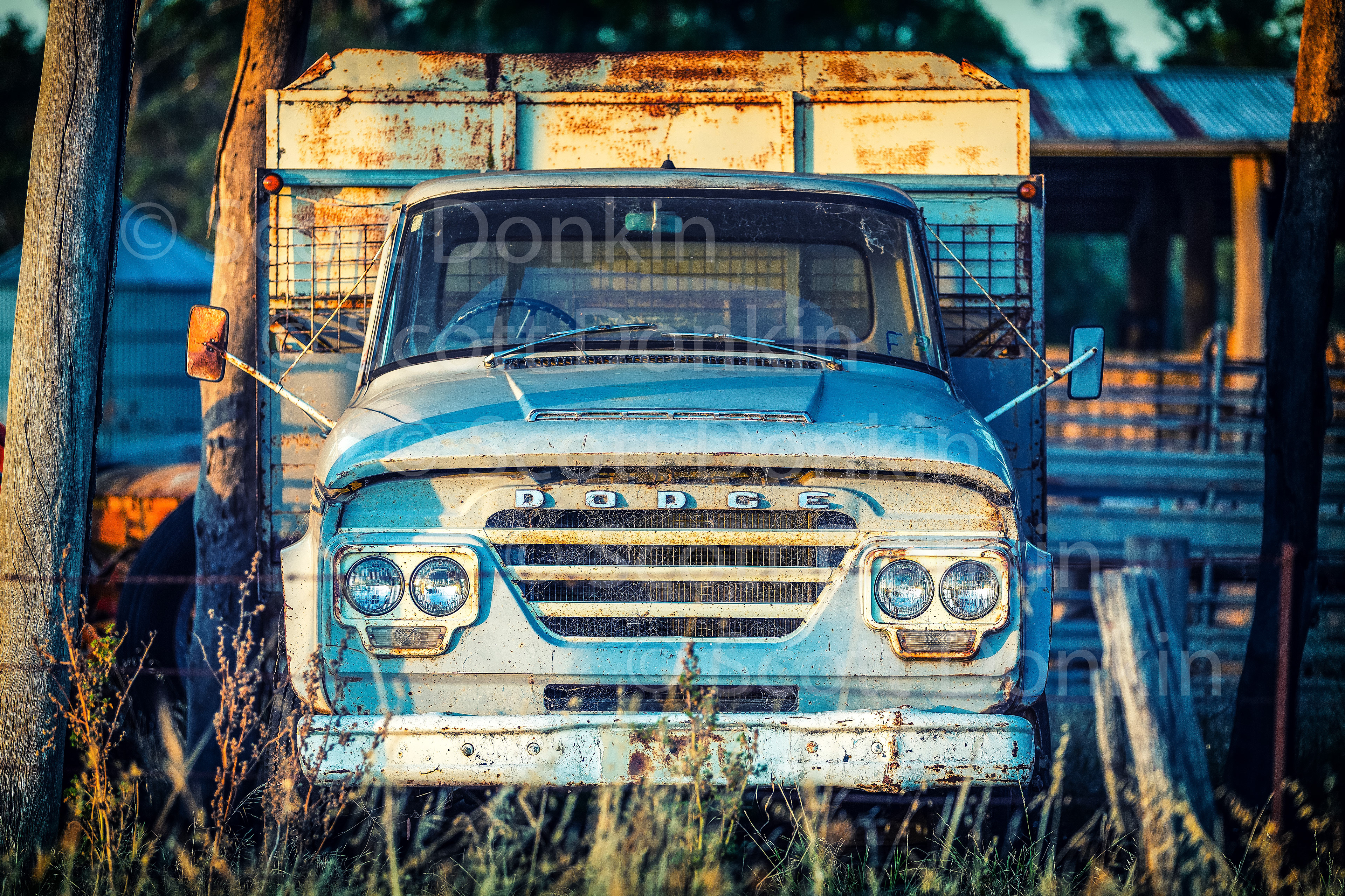 License this photo by Scott Donkin on Adobe Stock.