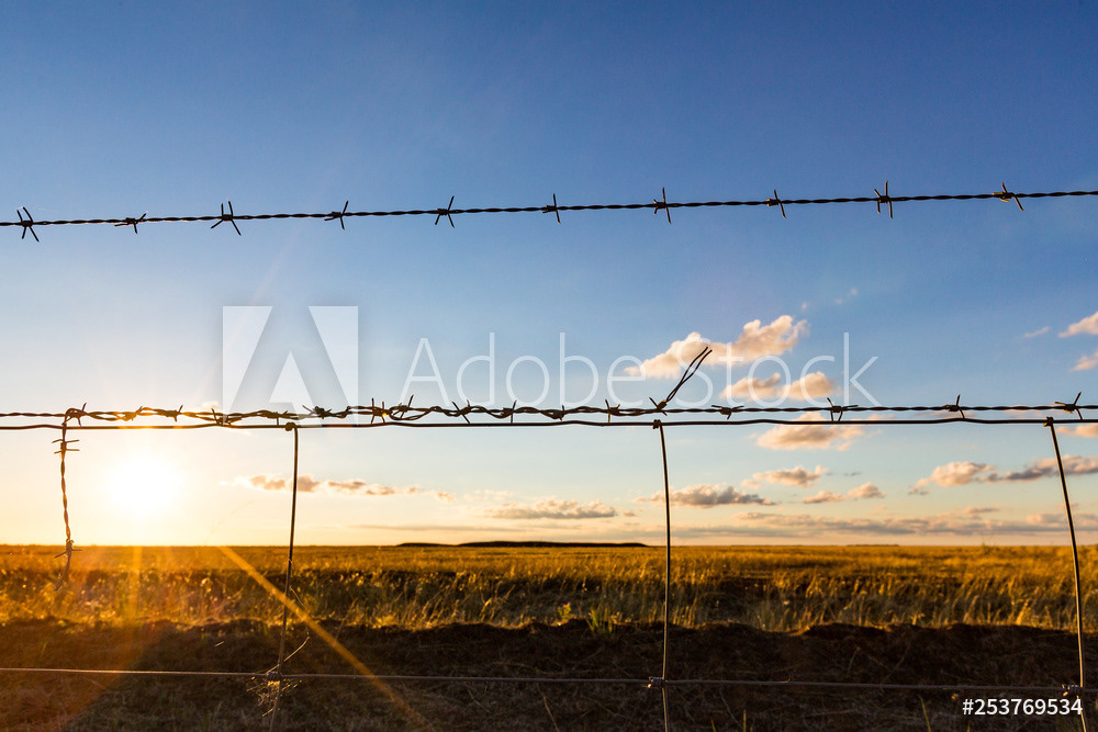 License this photo by Scott Donkin on Adobe Stock.