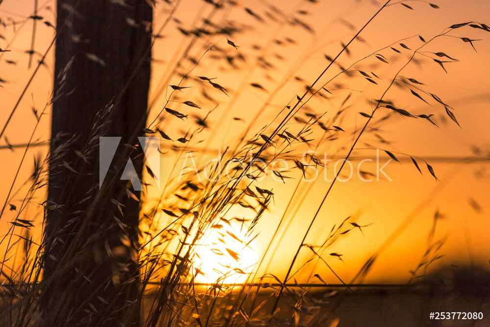 License this photo by Scott Donkin on Adobe Stock.