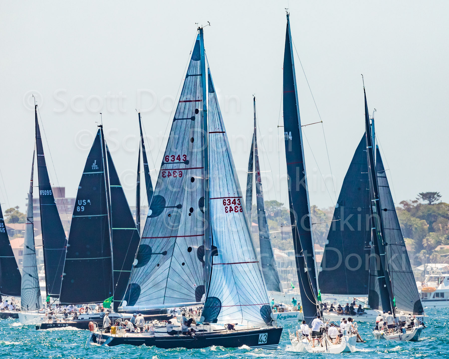 SYDNEY HARBOUR, NSW, AUSTRALIA - 26 December 2018: The start line of the Sydney to Hobart Yacht race.