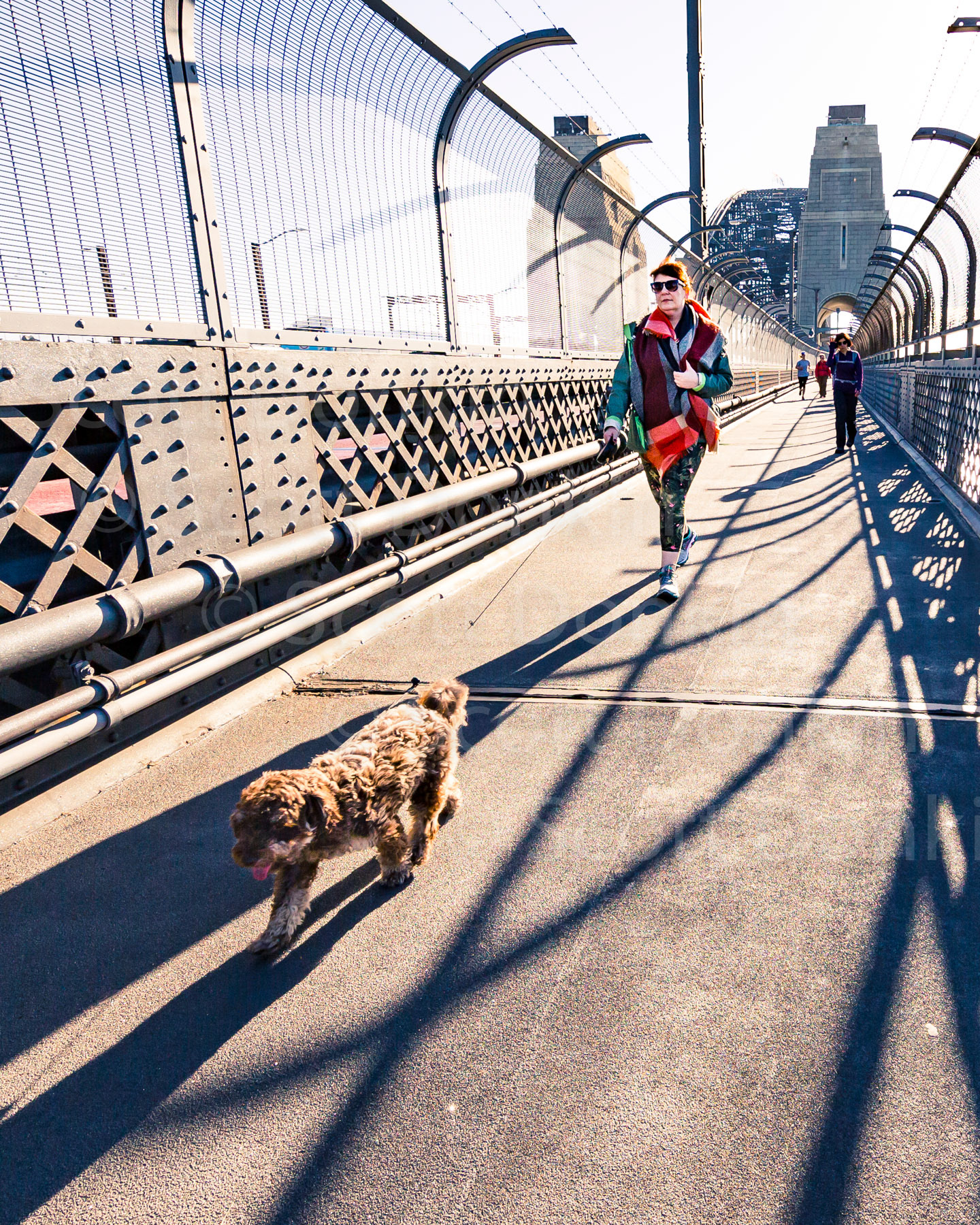 SYDNEY, NSW, AUSTRALIA - 14 June 2017: A woman walks her dog on the pedestrian path of the Sydney Harbour Bridge.  The city and harbour views afforded from the high vantage point are a draw card for thousands walking and jogging across the Bridge each day.