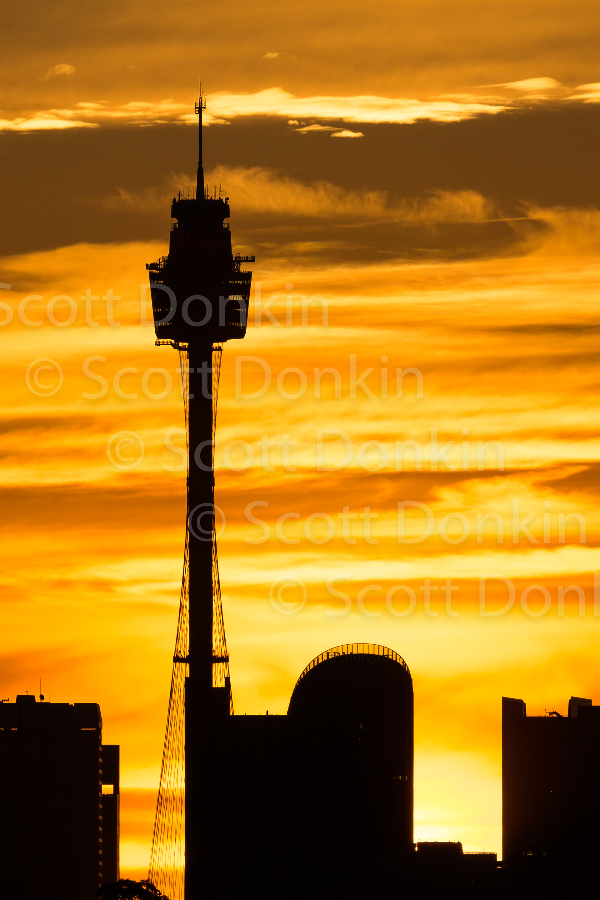 License this photo by Scott Donkin on Adobe Stock.