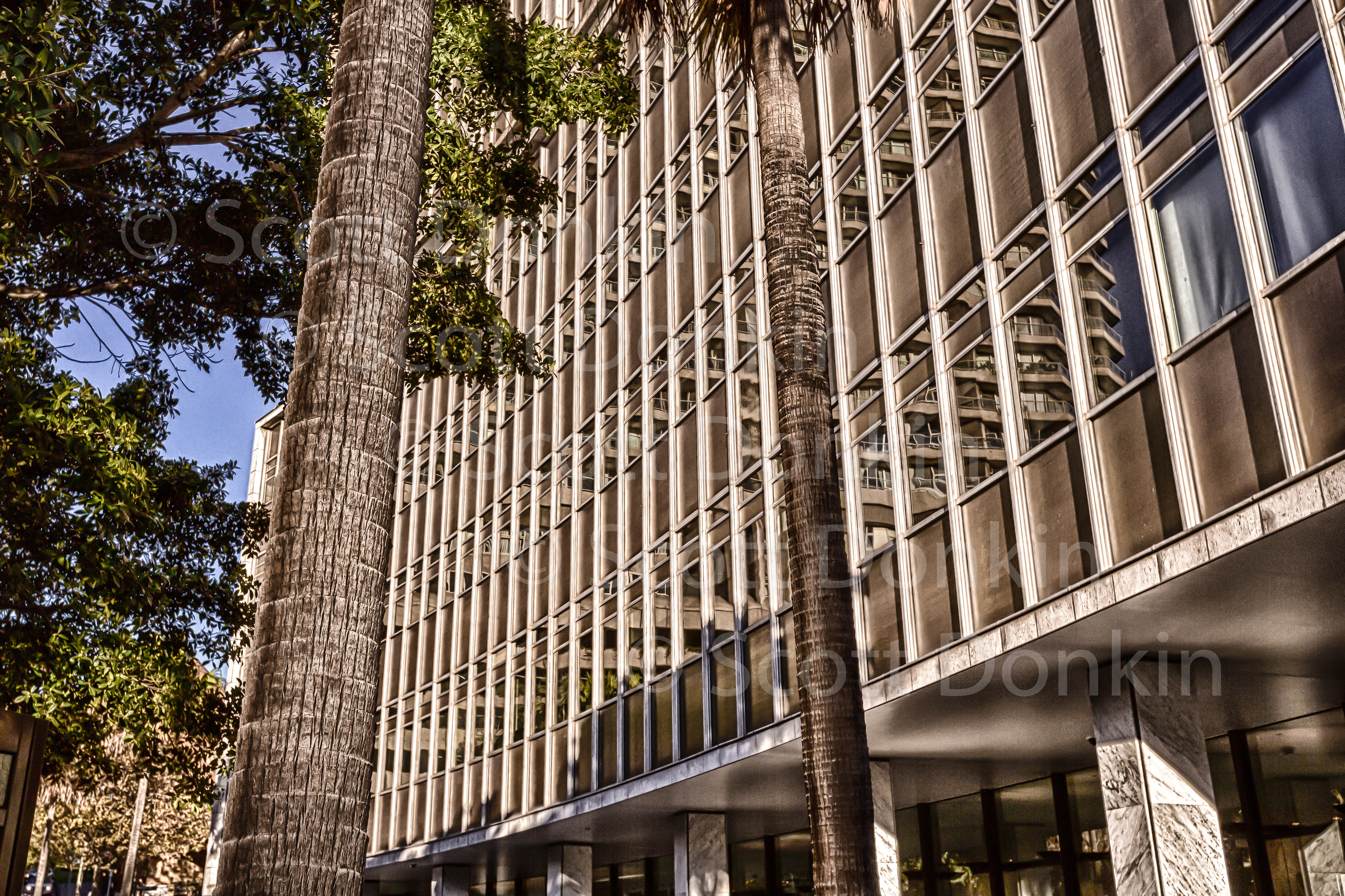 AMP building, Sydney.