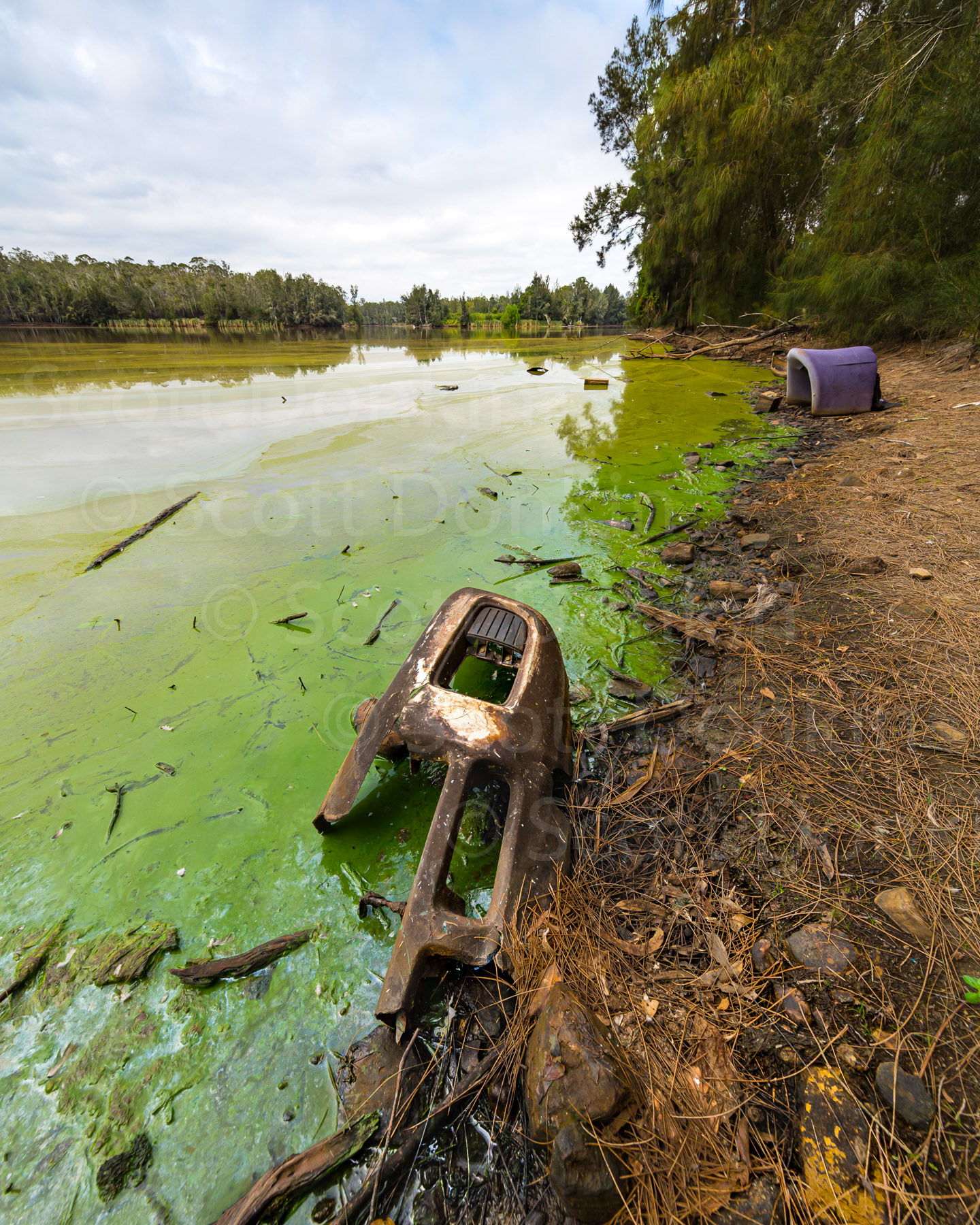 CATTAI, NSW, AUSTRALIA - 26 January 2018: Discarded car parts, furniture and household waste, including a car battery, sit on the blue-green algae (Cyanobacteria) polluted shoreline of Longneck Lagoon.  Part of the Scheyville National Park north west of Sydney, these wetlands are known to be inhabited regularly by over 40 species of bird.