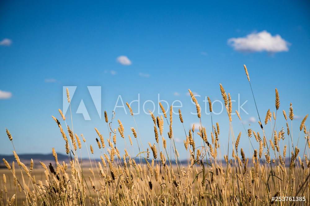 License this photo by Scott Donkin on Adobe Stock.