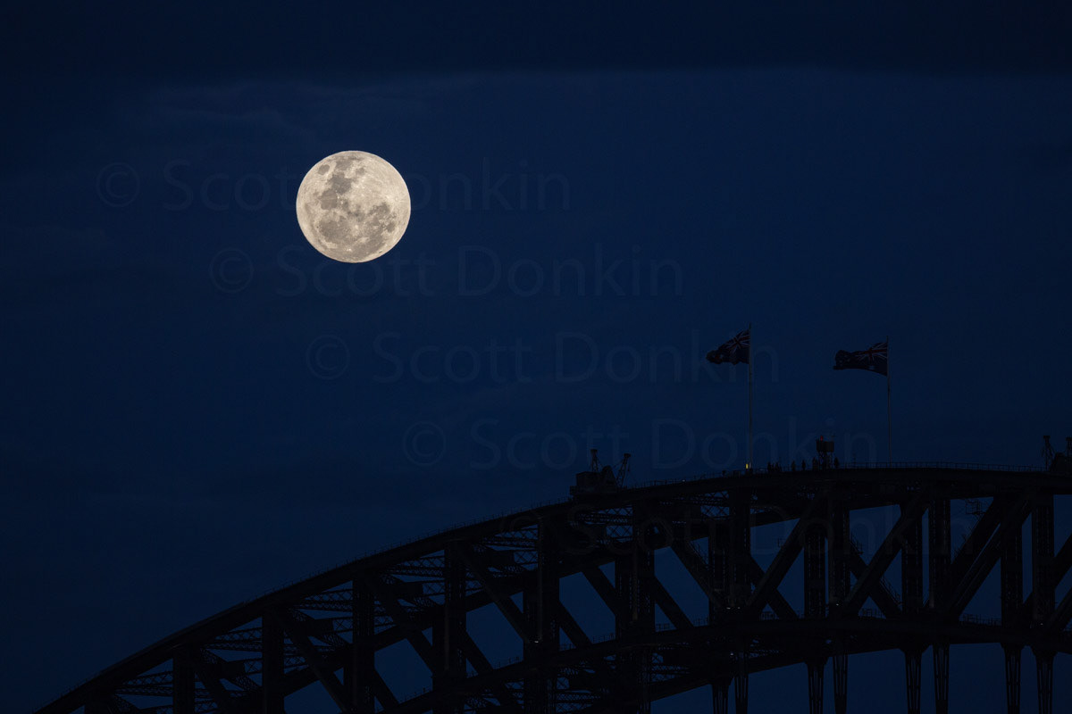 SYDNEY, NSW, AUSTRALIA - 14 November 2016: Single exposure of a perigee full 'super' moon rising over the arch of Sydney Harbour Bridge at dusk.