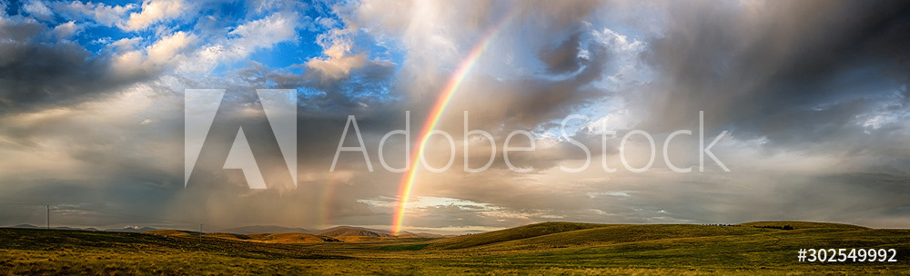 License this photo by Scott Donkin on Adobe Stock.