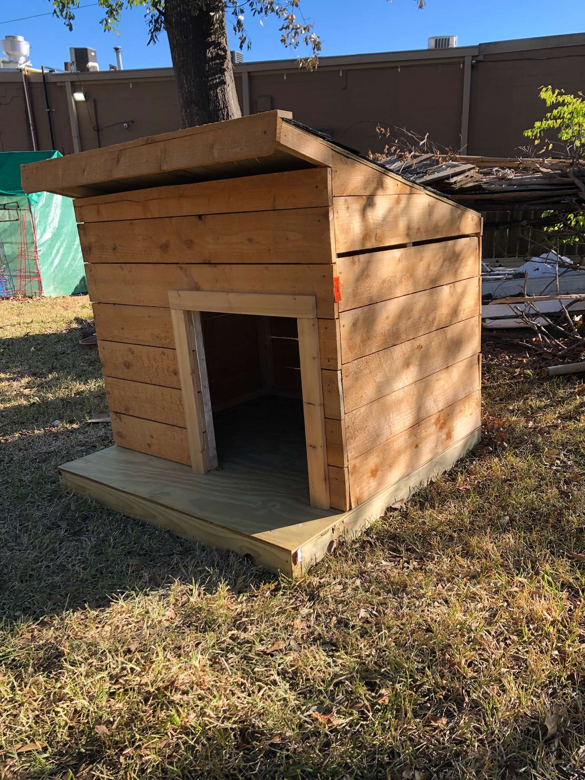 Dog House