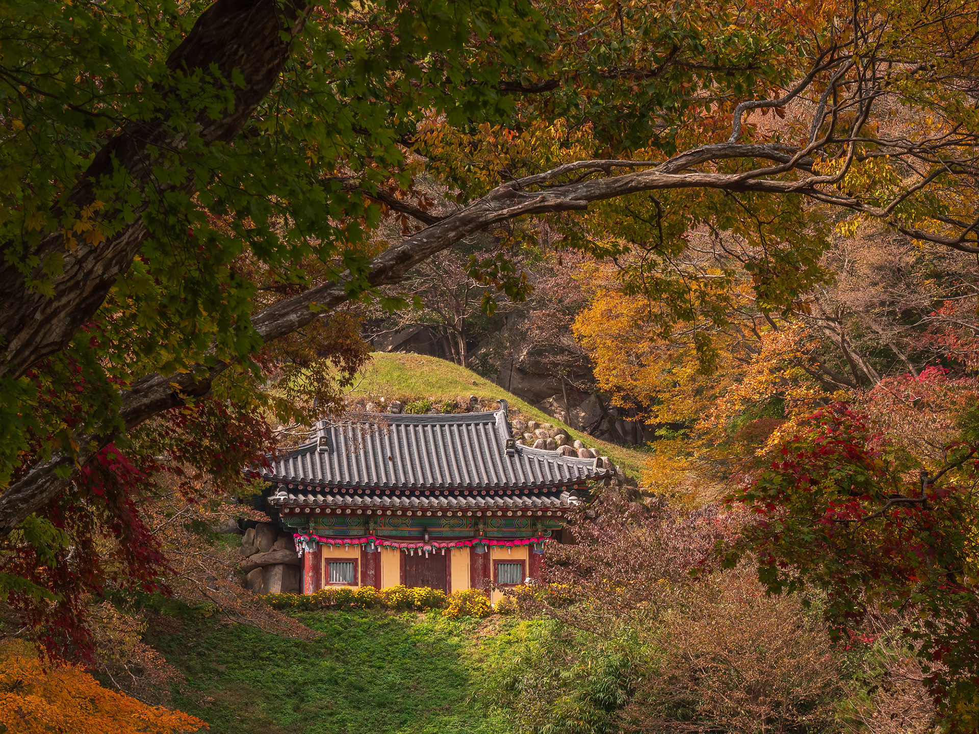 Gyeongju Su Seokguram Grotto