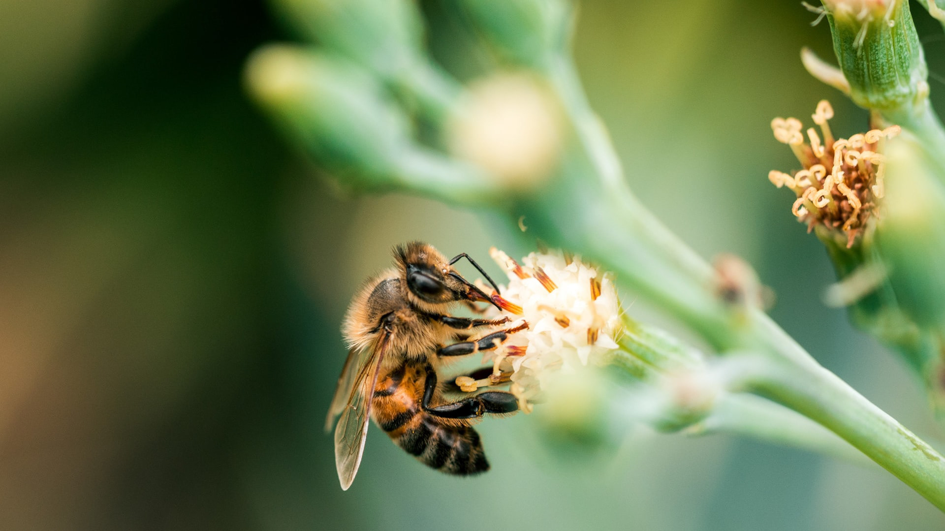 Photo by Harrison Broadbent on Unsplash