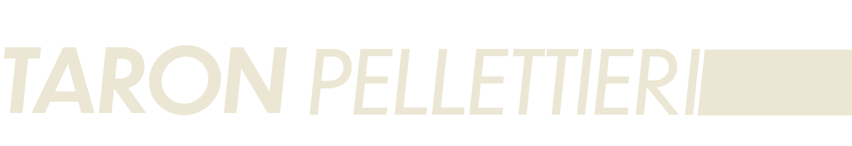 Taron Pellettieri