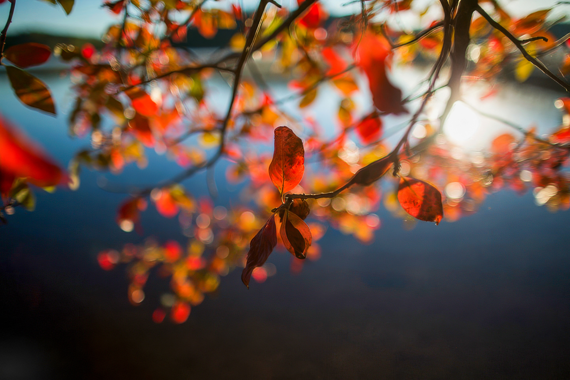 Virgil Speriosu Photography