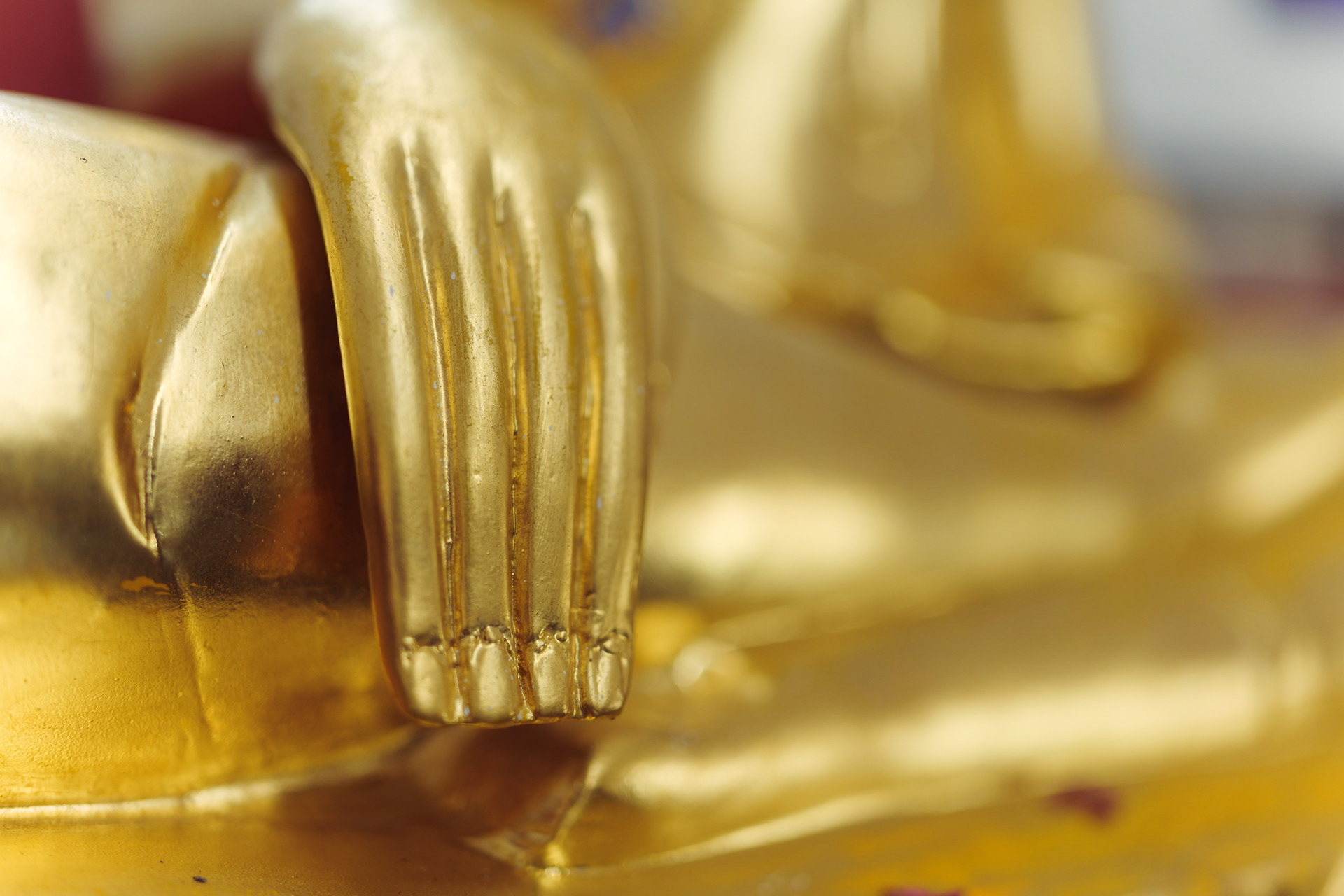 Buddha's hands