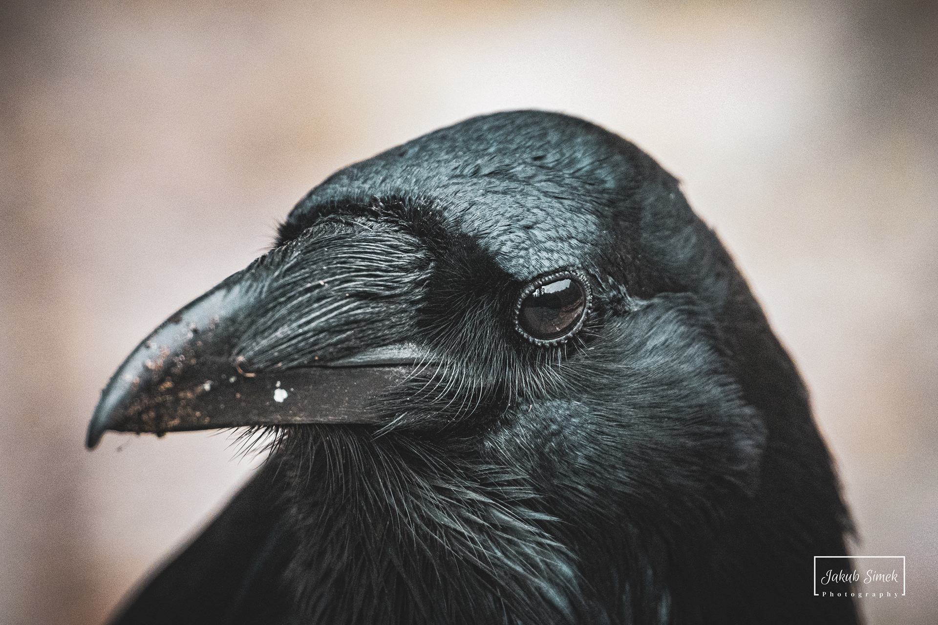 Yosemite National Park