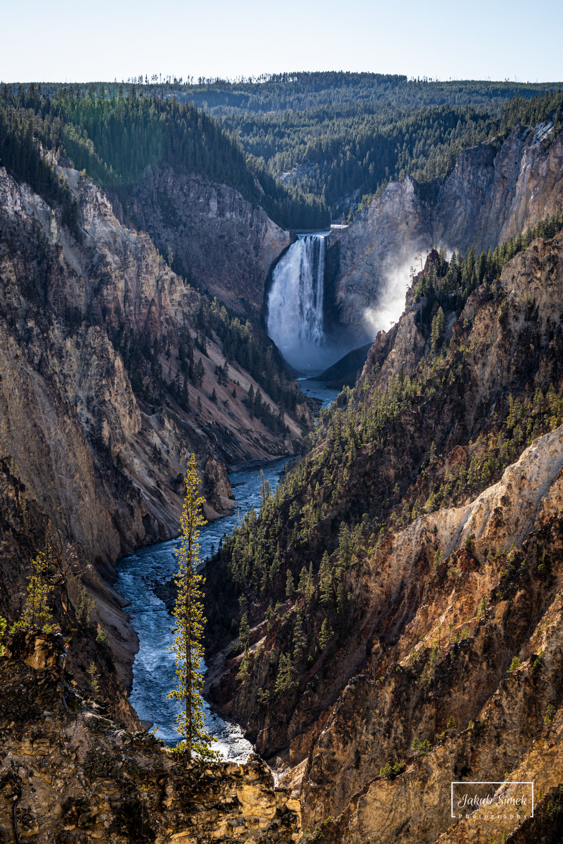 Yellowstone