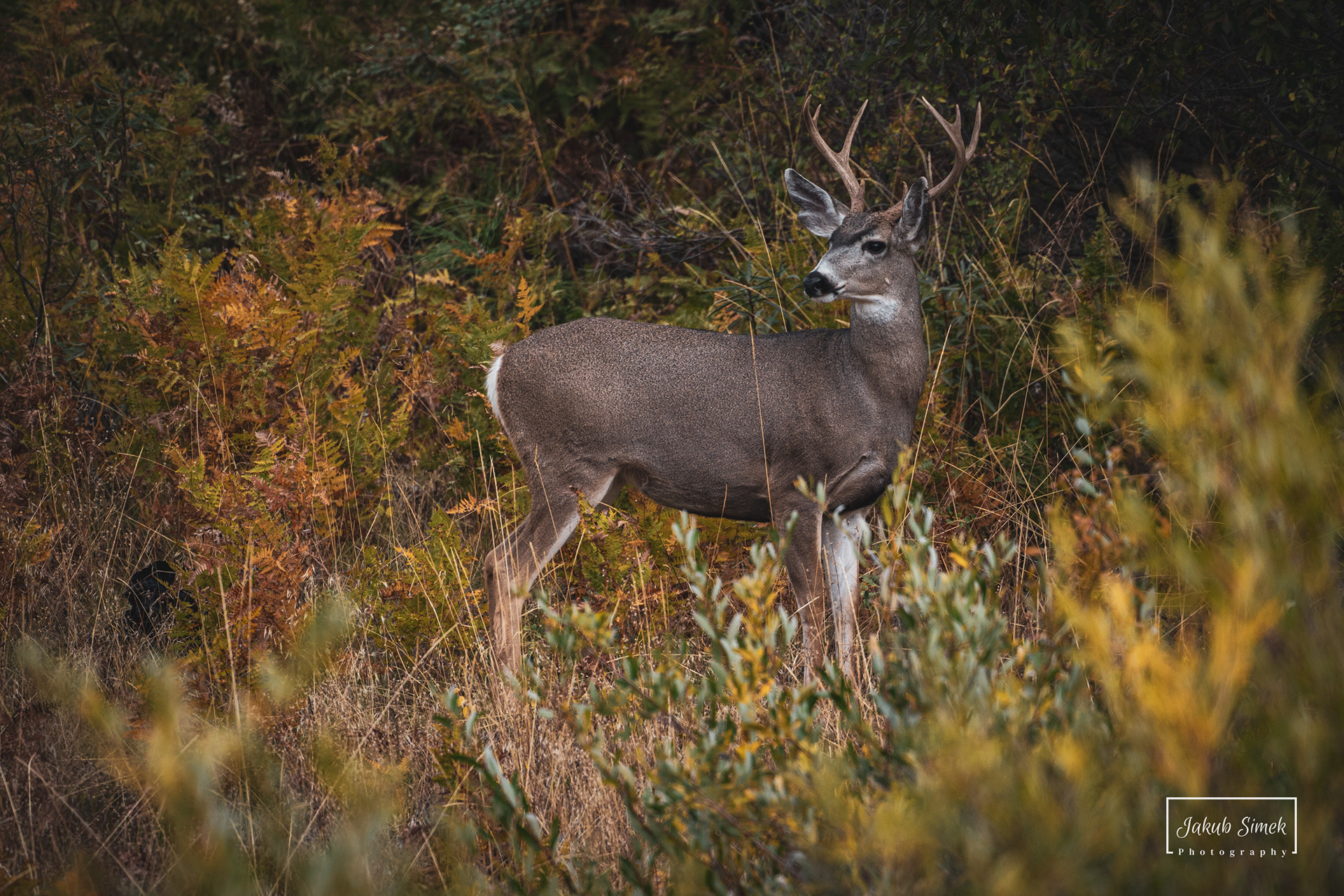 Yosemite National Park