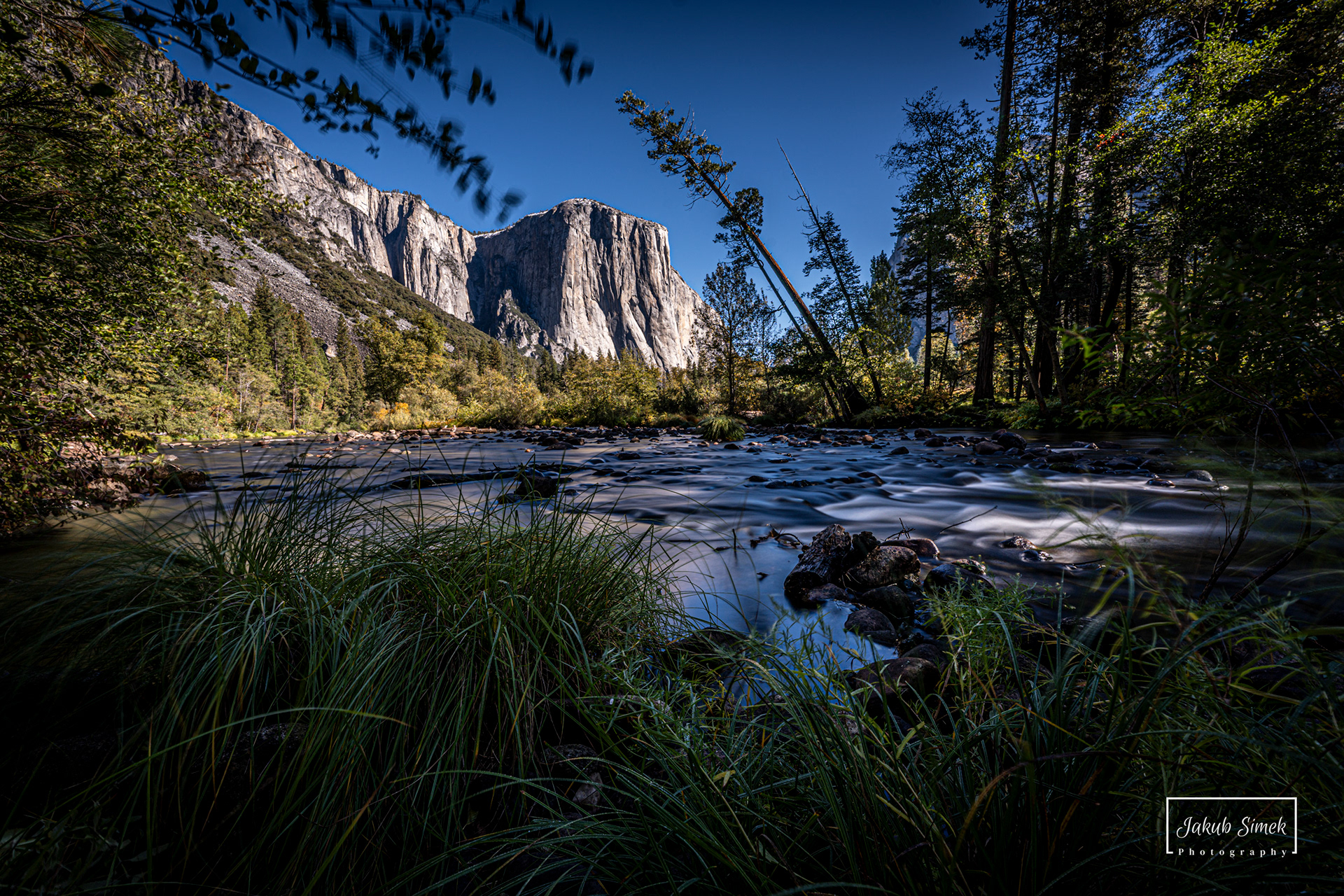 Yosemite National Park
