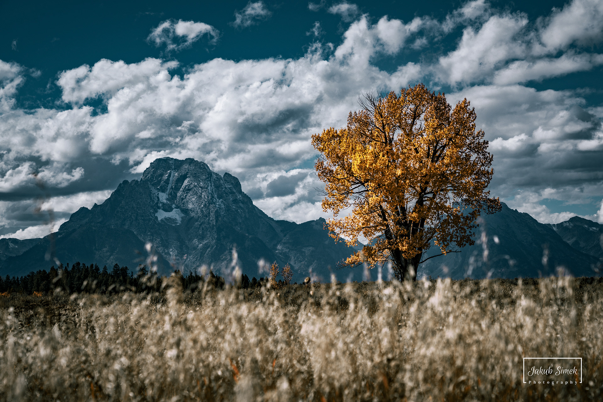 Grand Teton