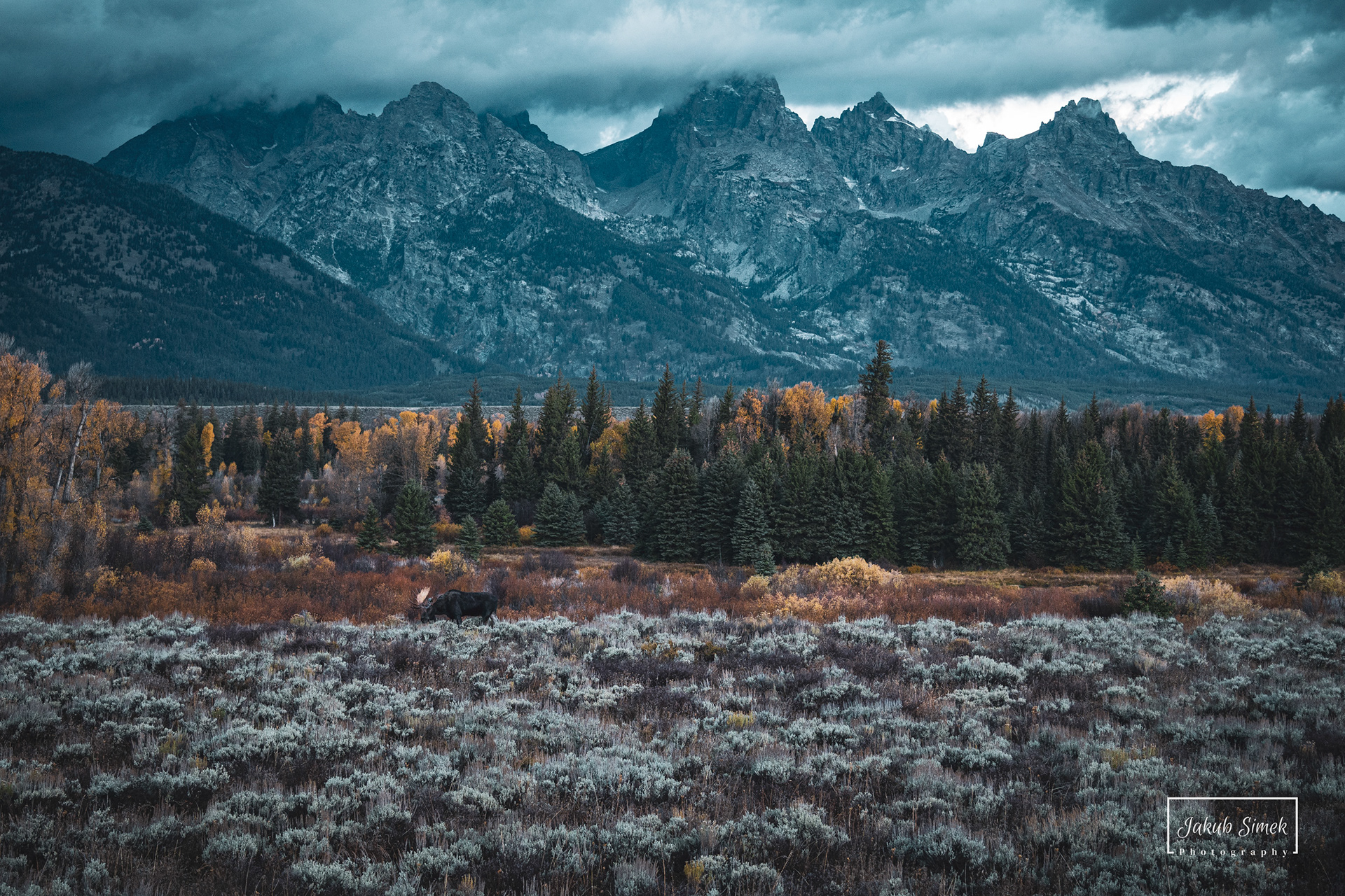 Grand Teton