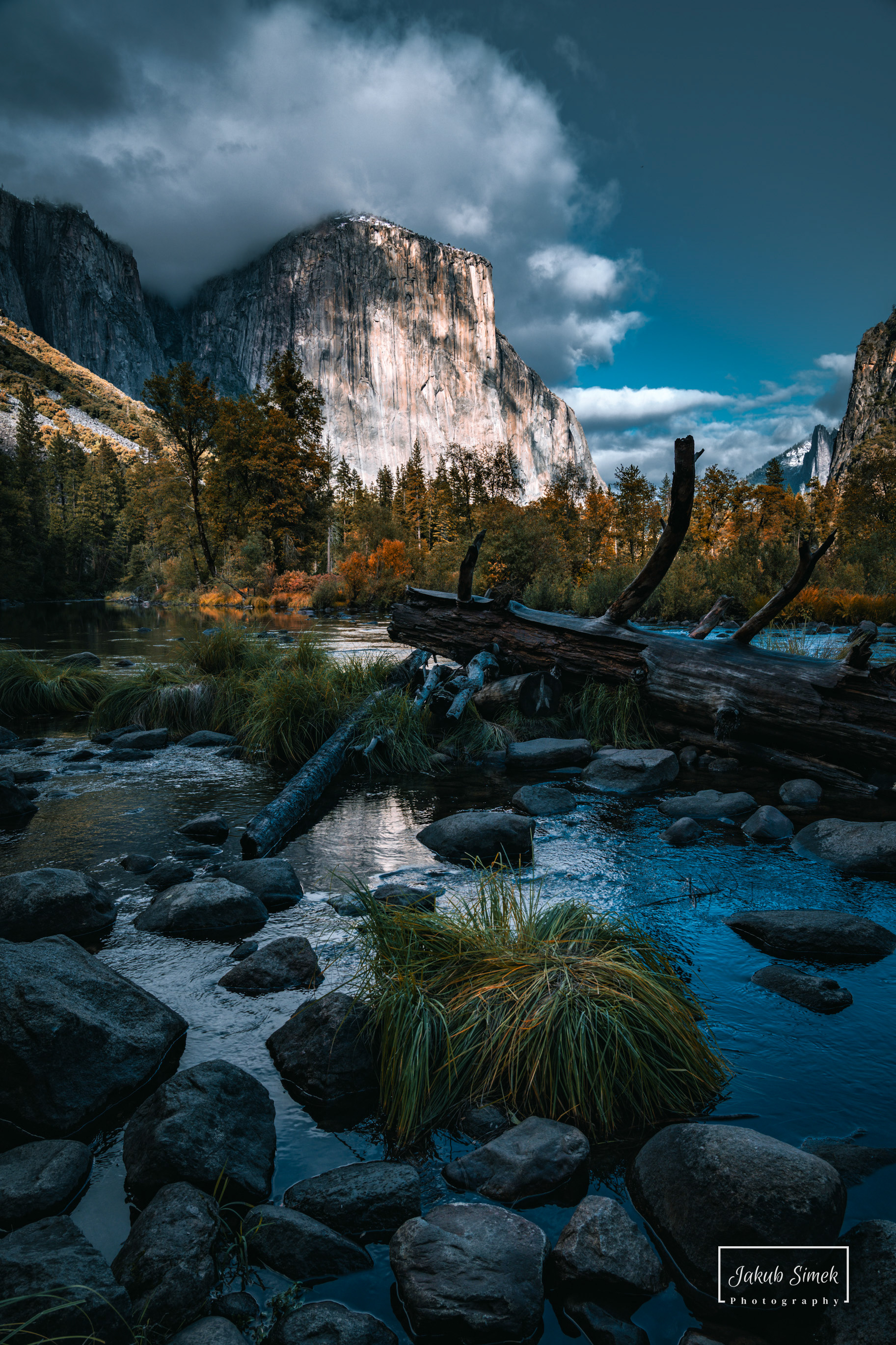 Yosemite National Park