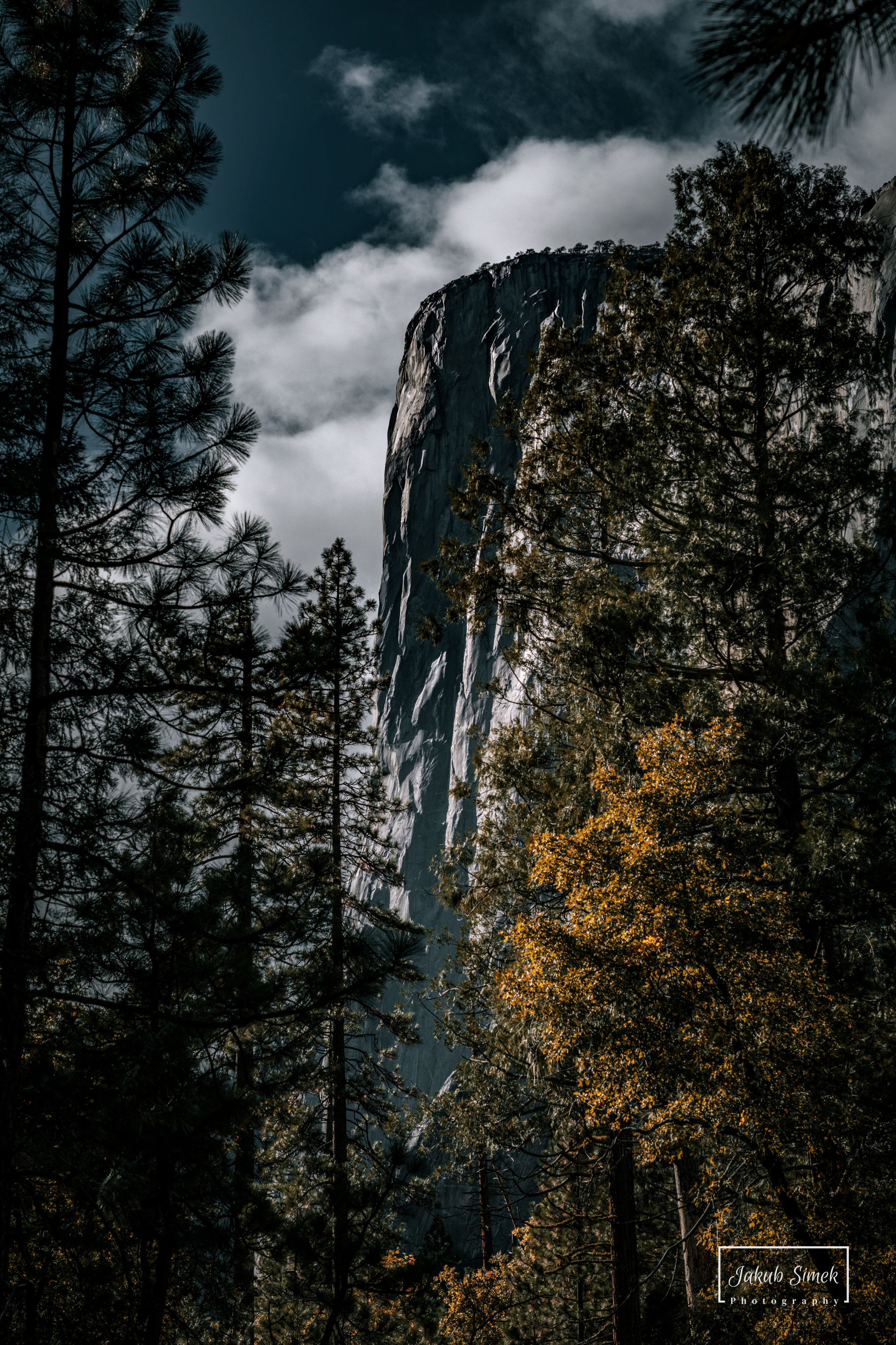 Yosemite National Park