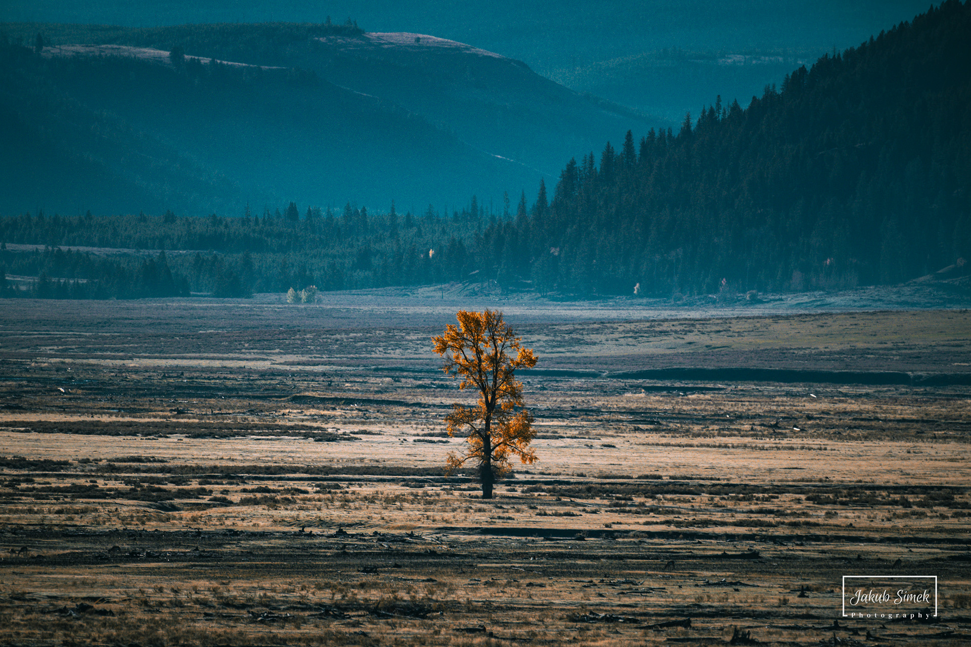 Yellowstone