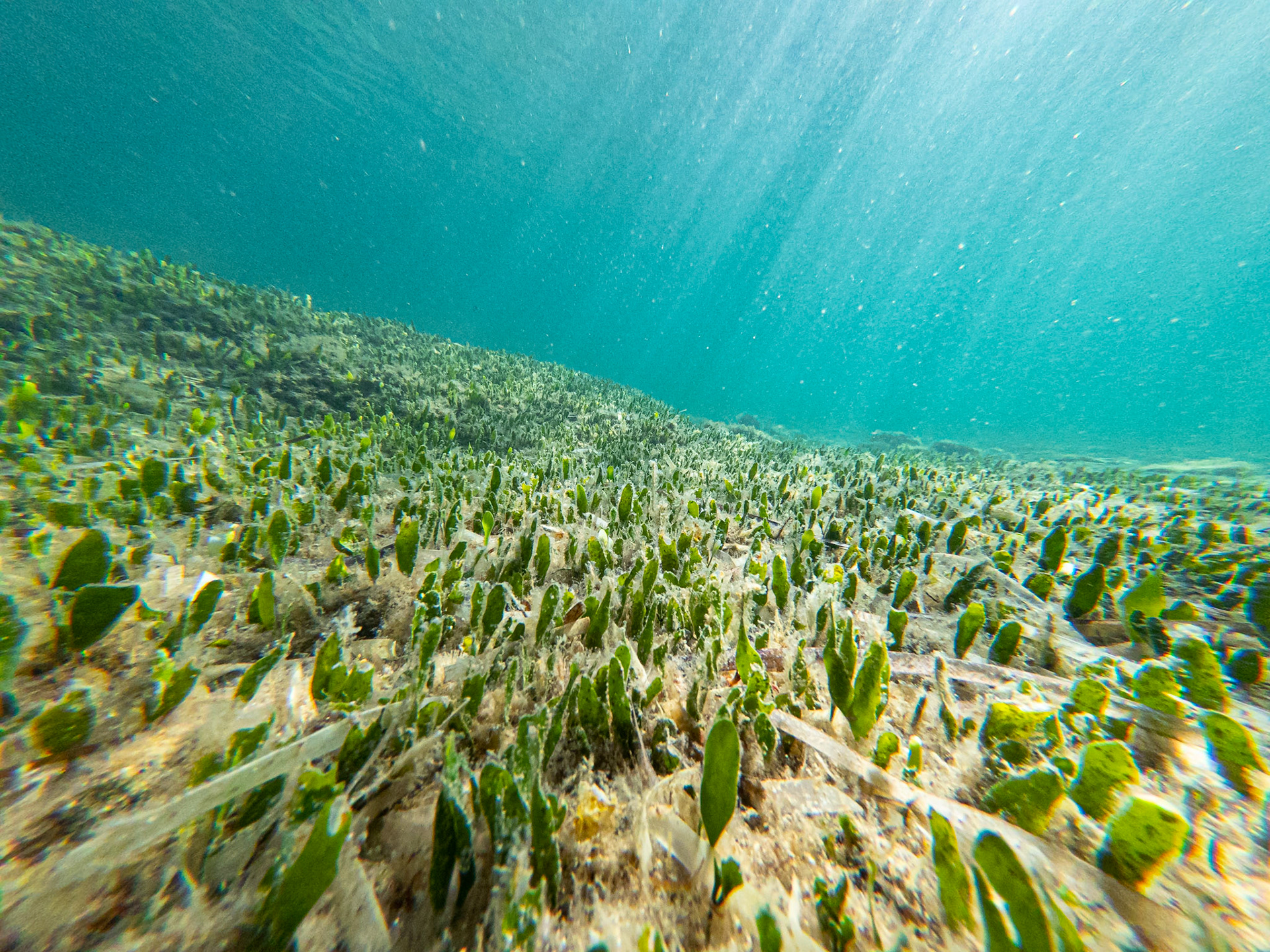 C:\DCIM\100GOPRO\GOPR3222.GPR