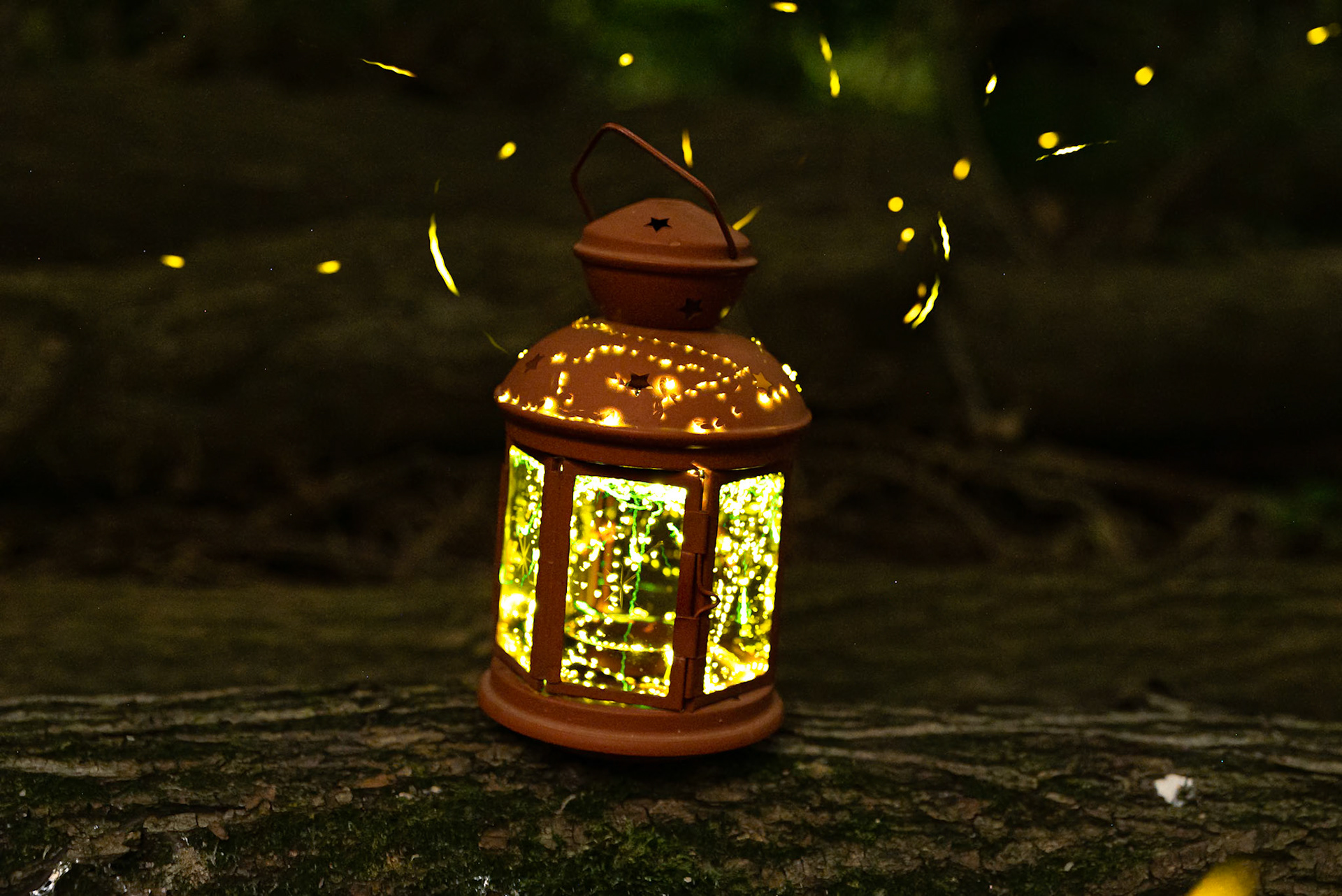 Fireflies
