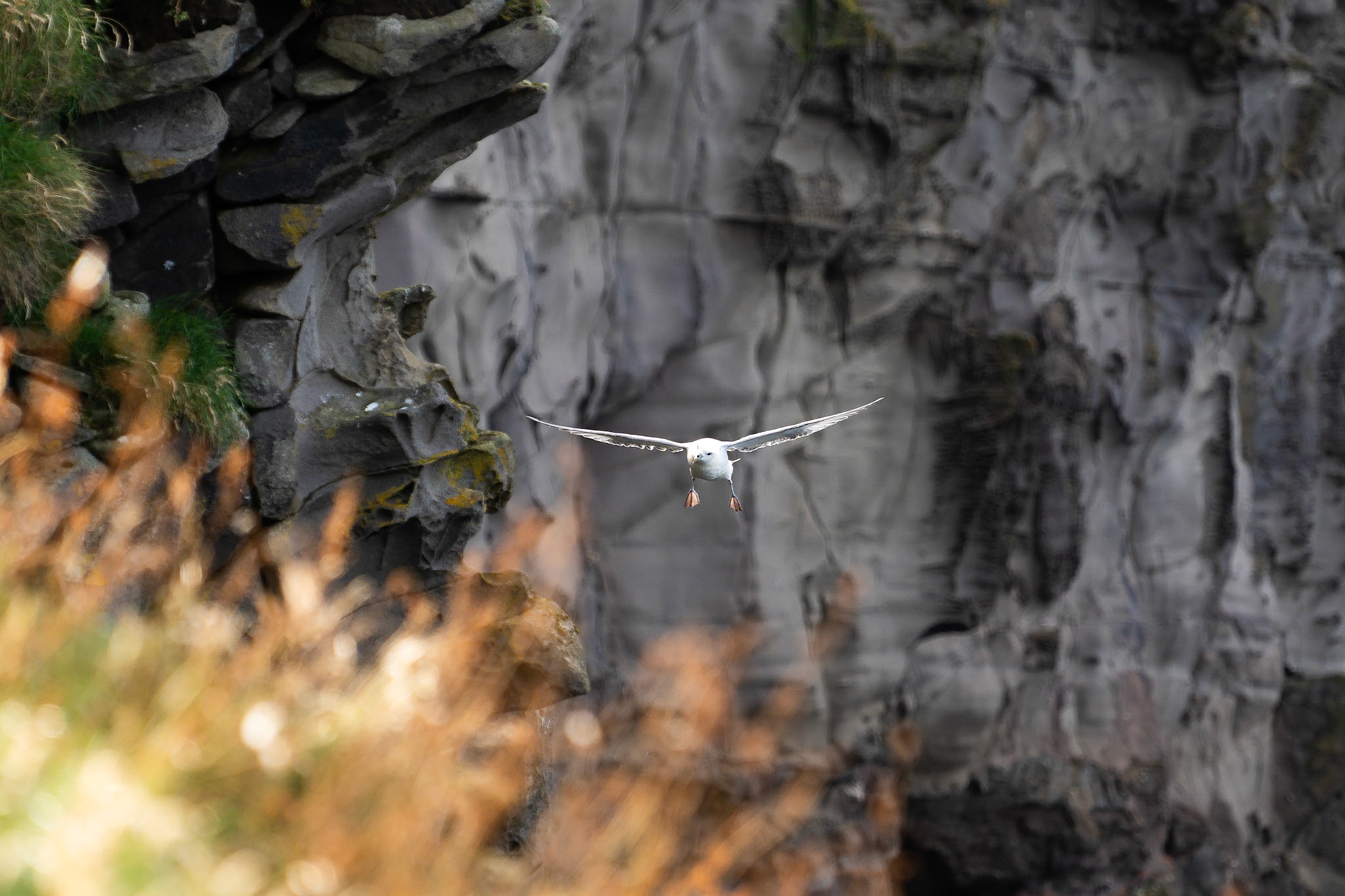 Travel photograpy lumos