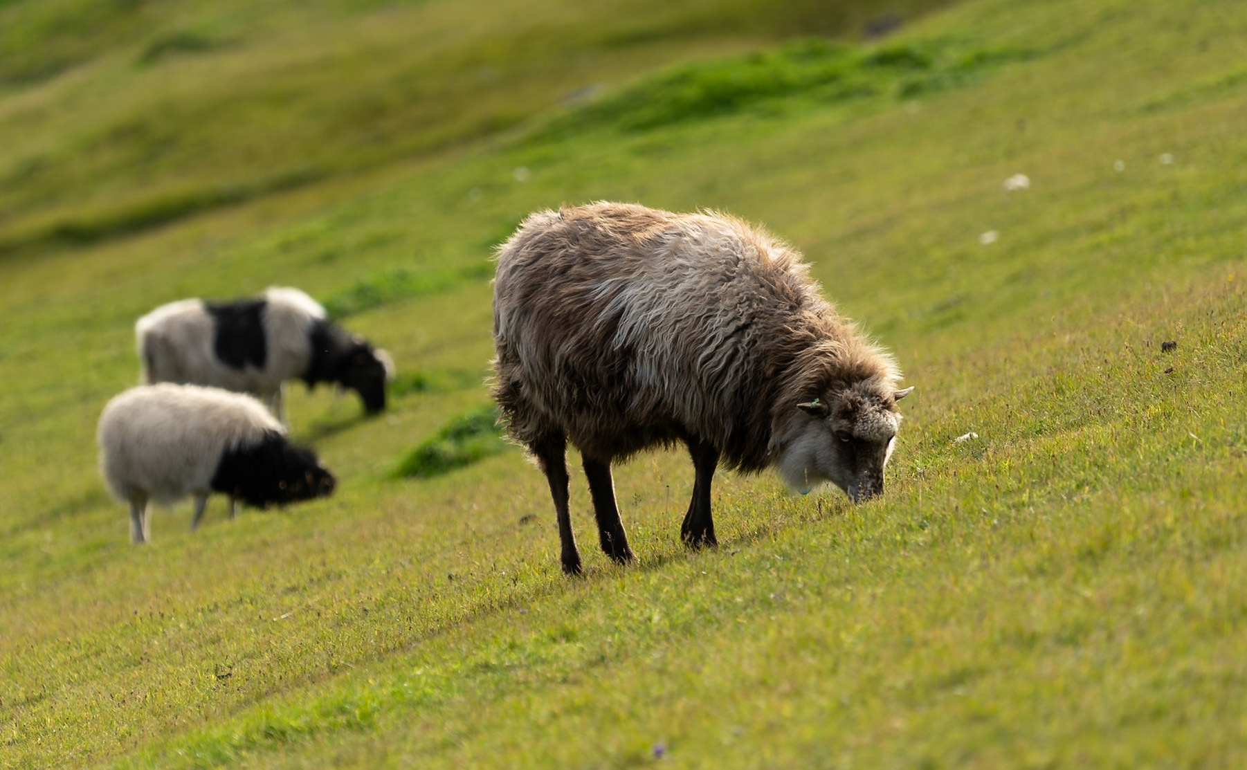 Travel photograpy lumos