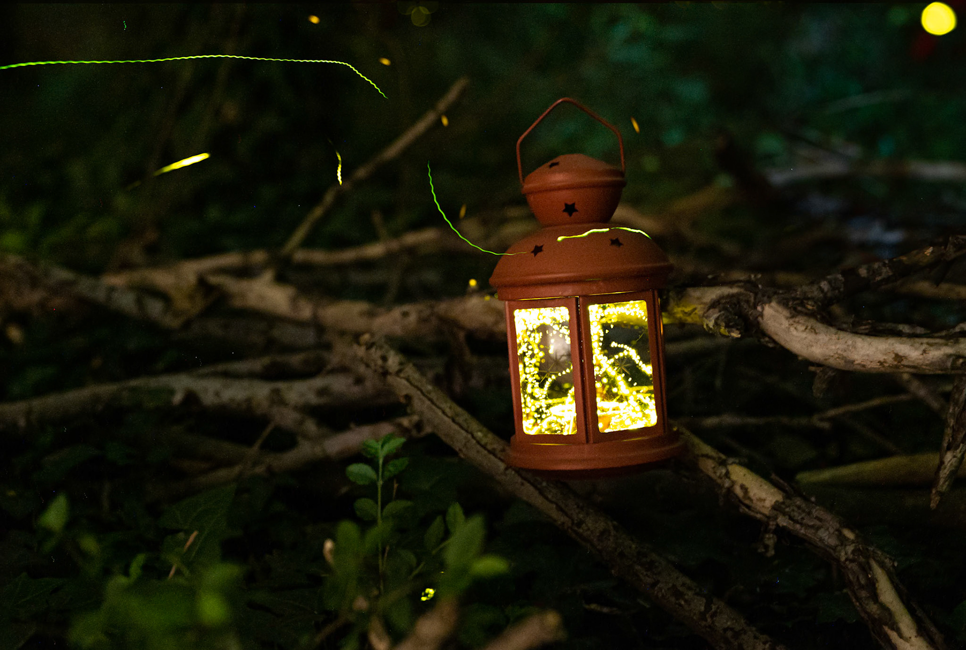 Fireflies