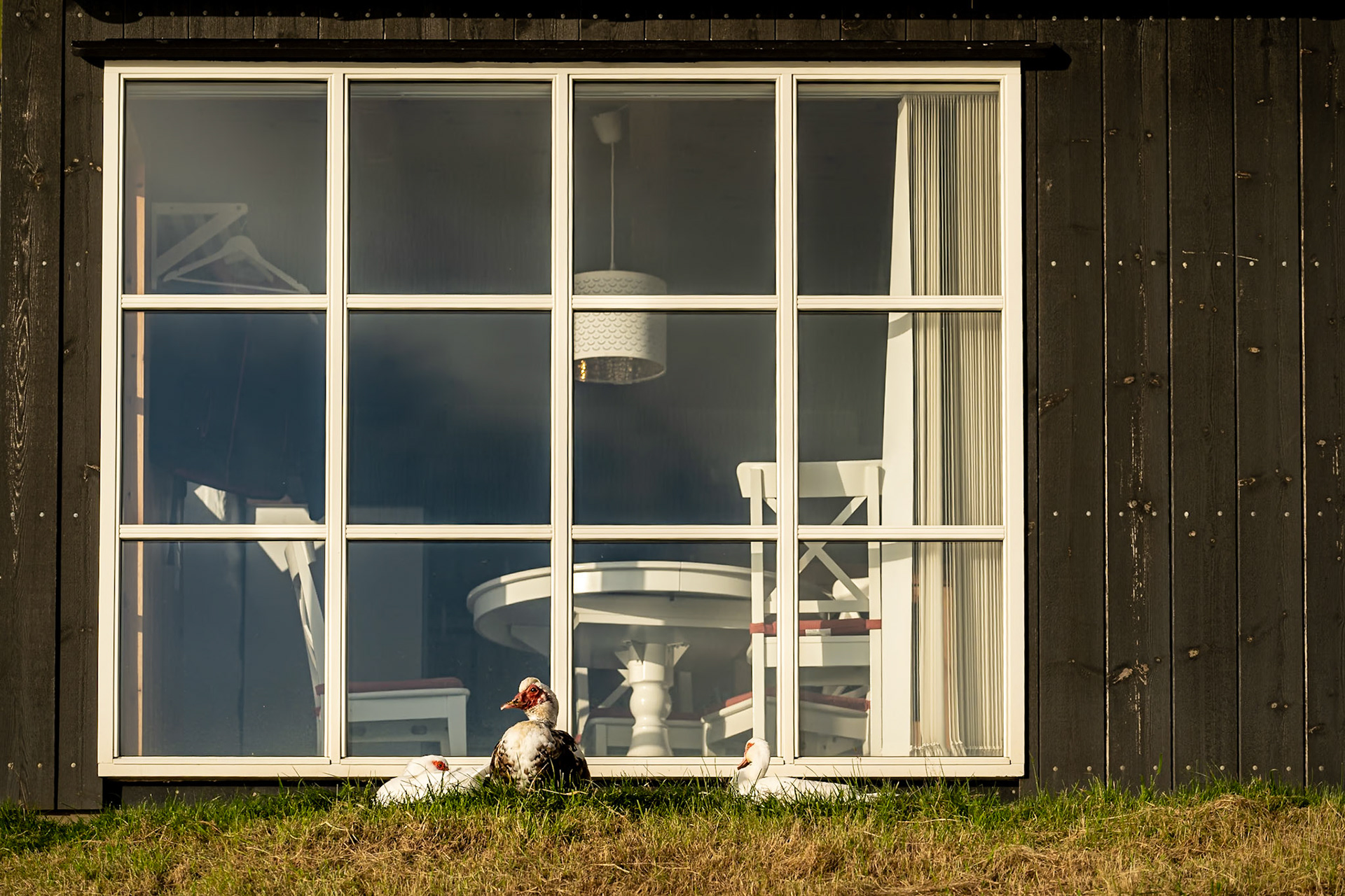 Travel photograpy lumos