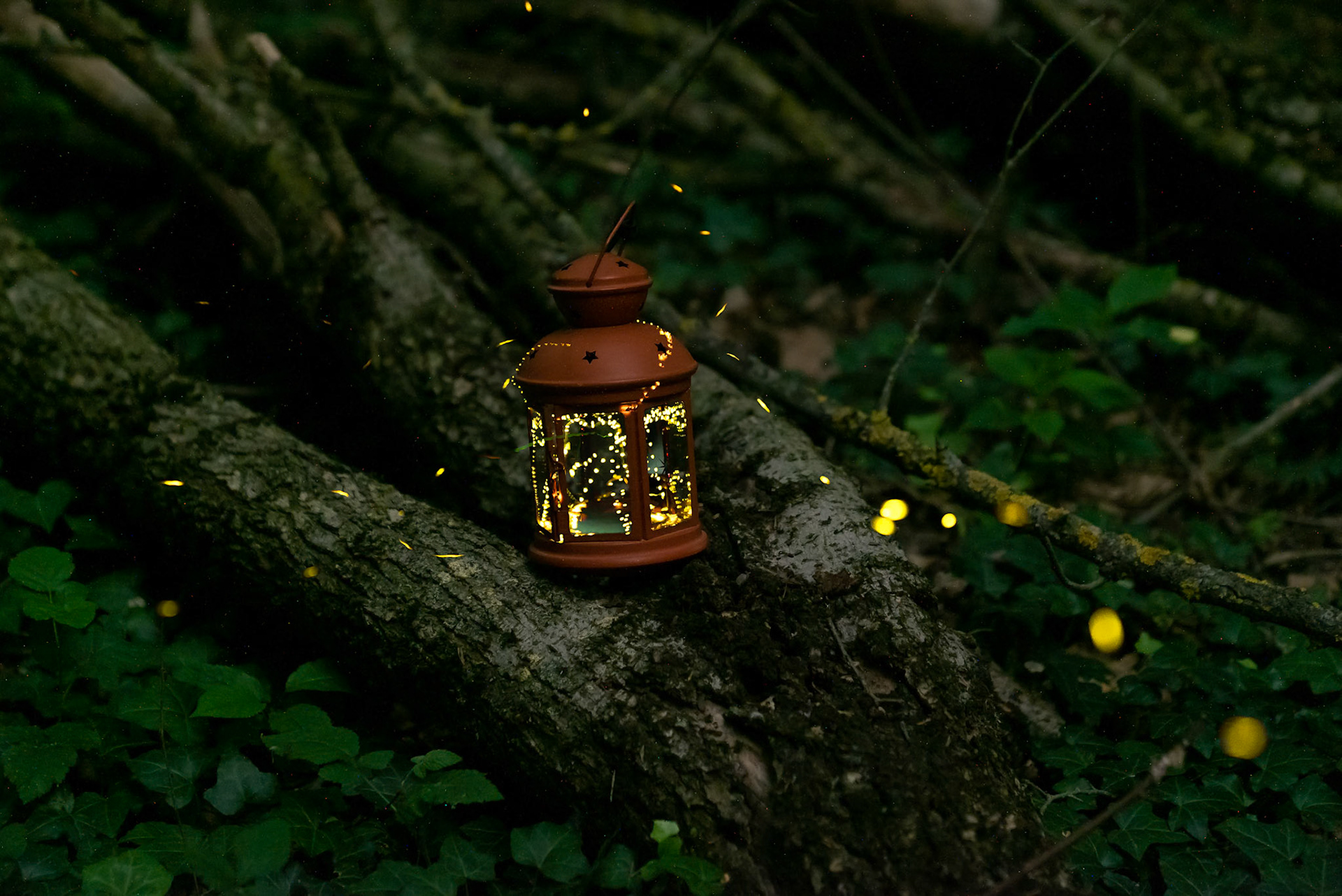 Fireflies