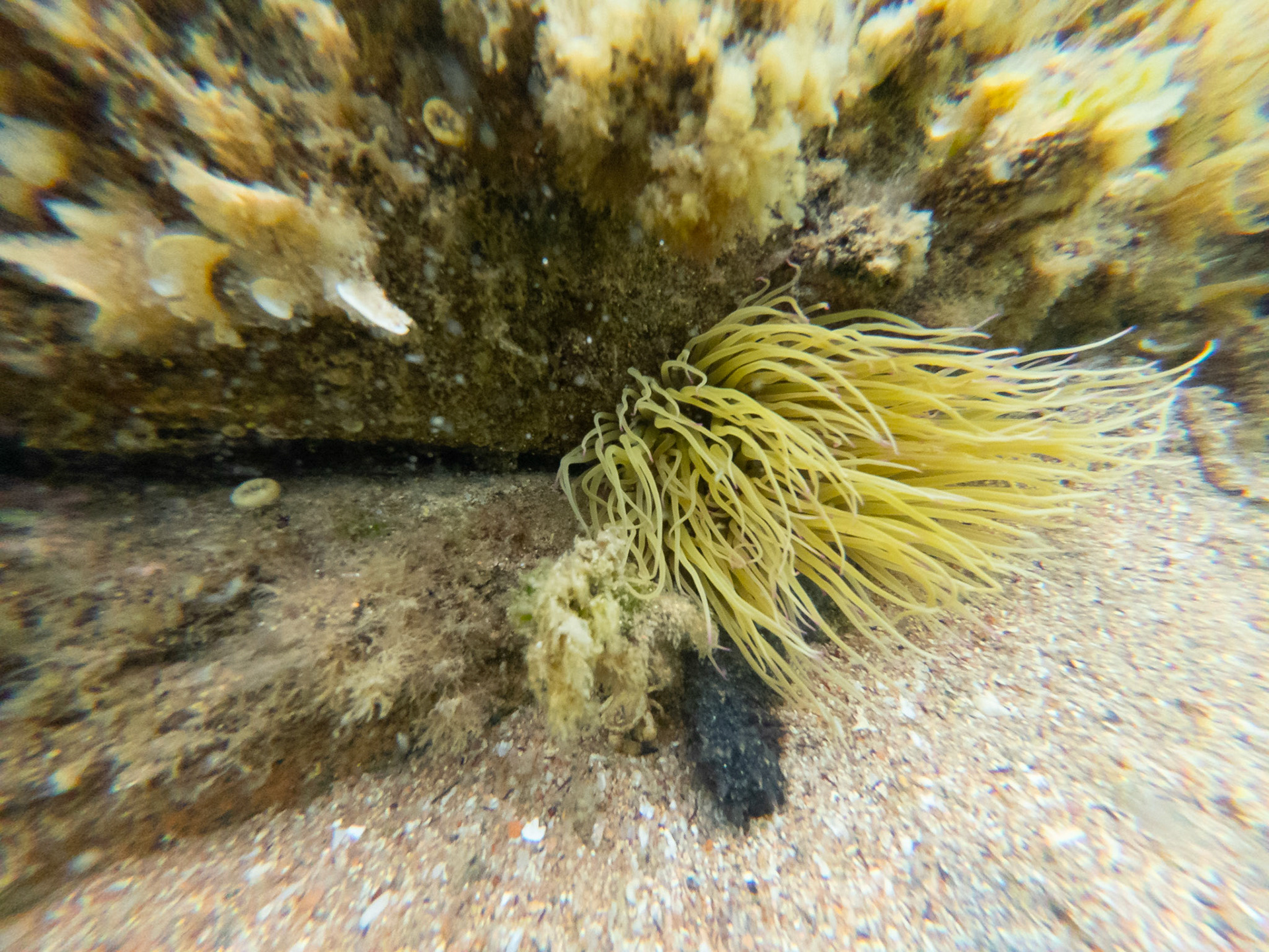 C:\DCIM\100GOPRO\GOPR2506.GPR