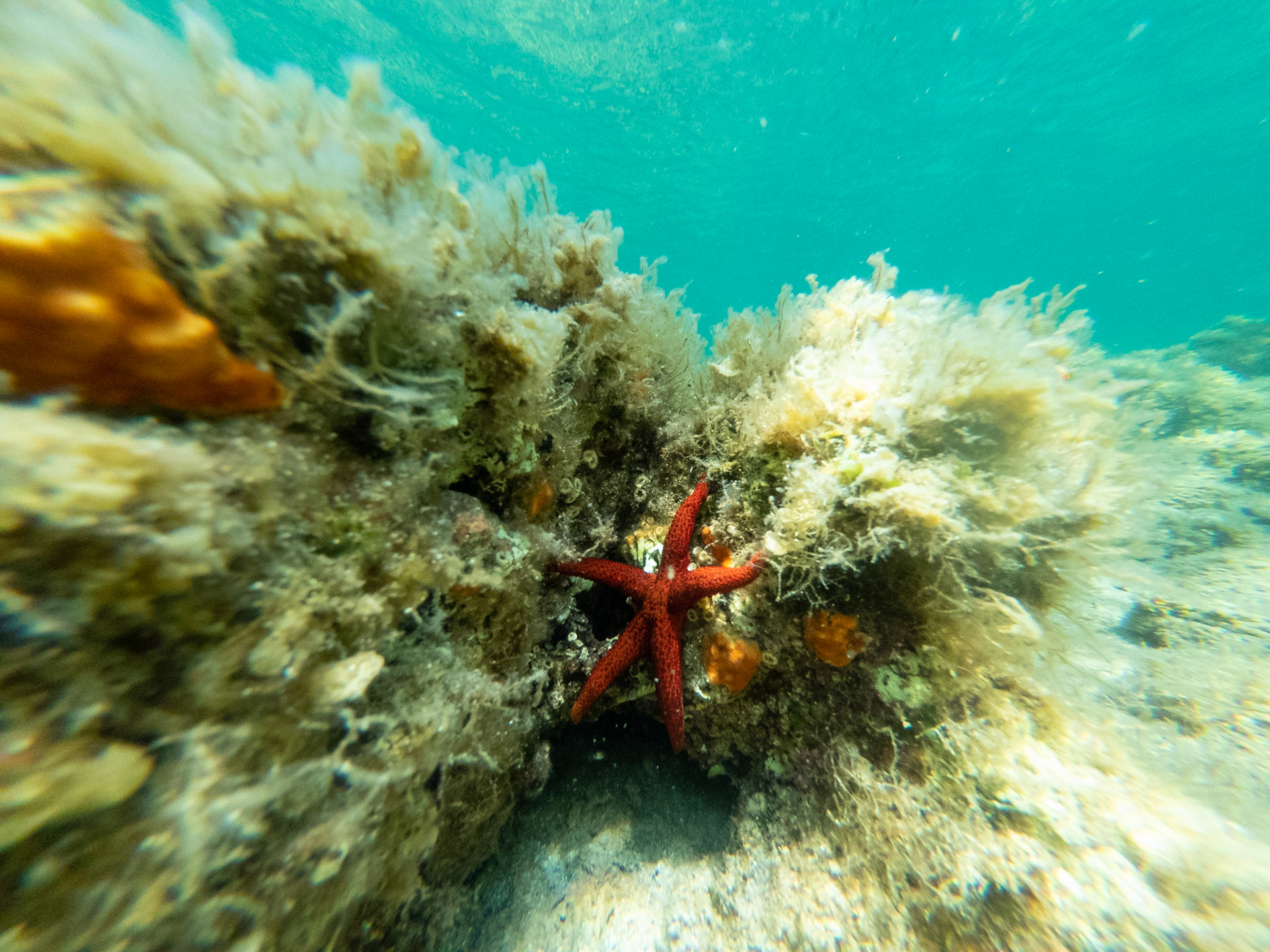 C:\DCIM\100GOPRO\GOPR2766.GPR