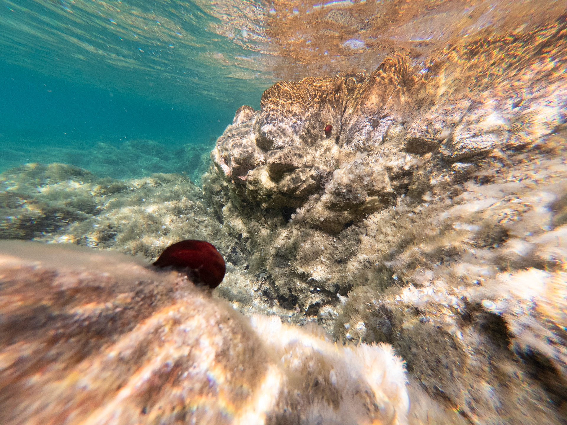 C:\DCIM\100GOPRO\GOPR2921.GPR