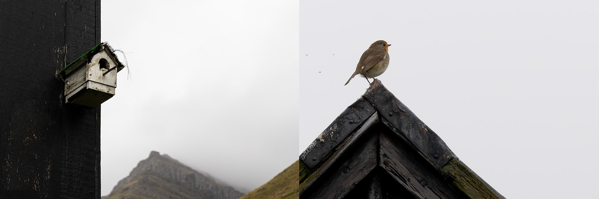 Travel photograpy lumos