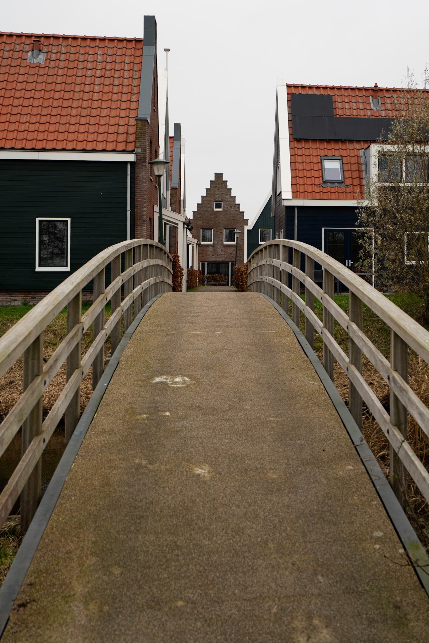 Amsterdam travel photography