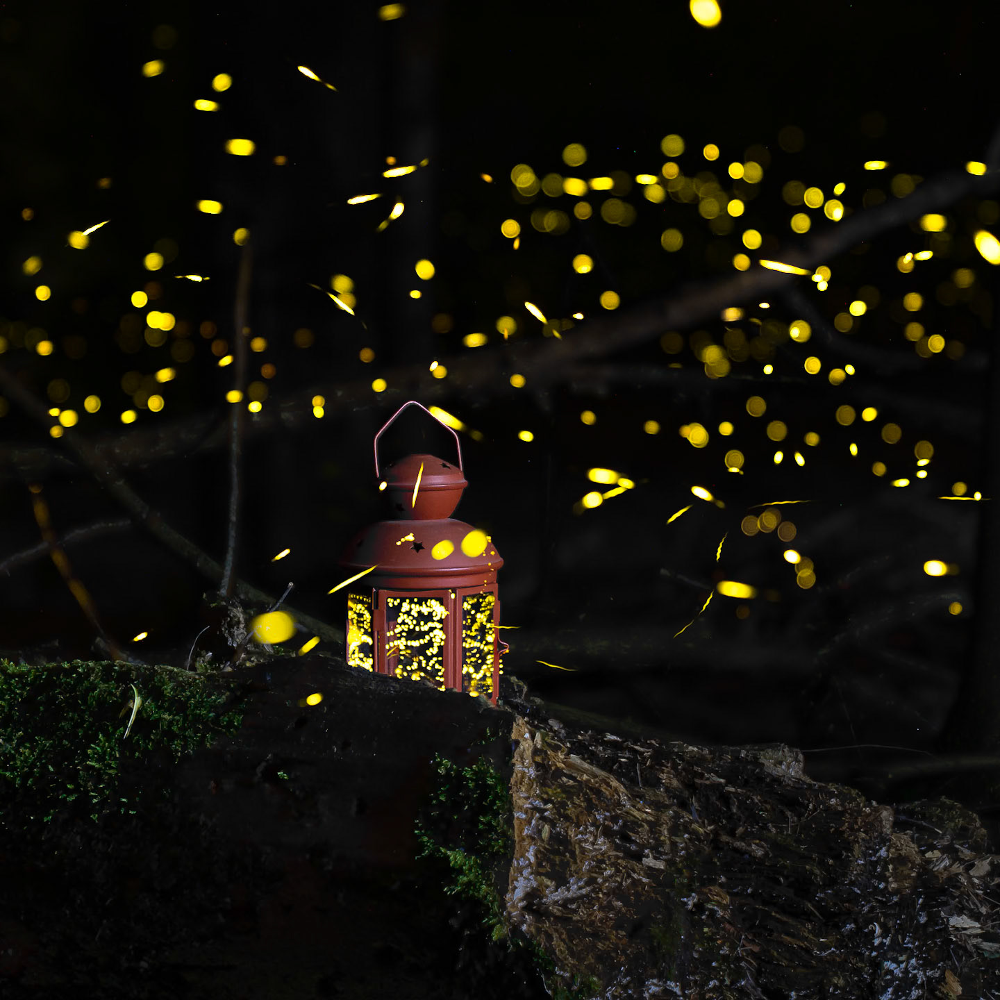Fireflies