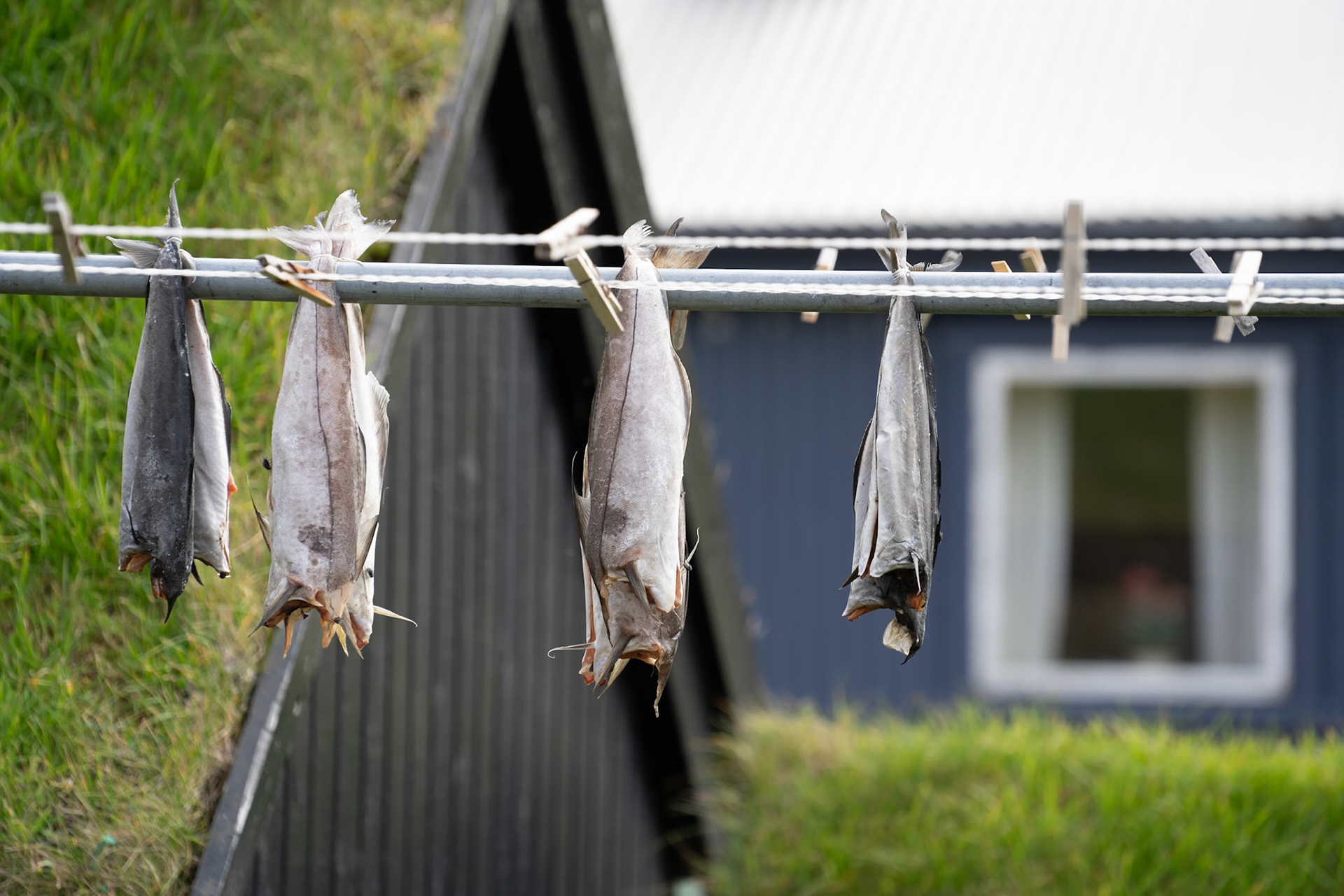 Travel photograpy lumos