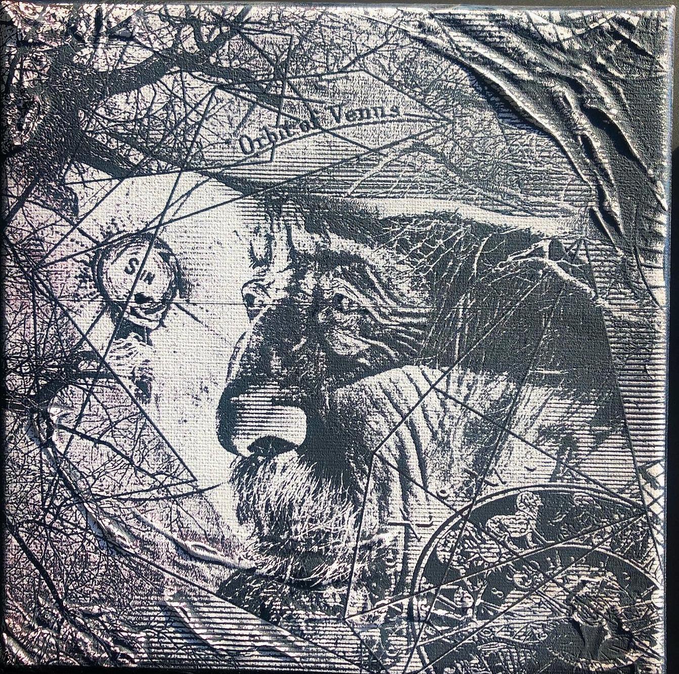 Laser engraved & painted on canvas