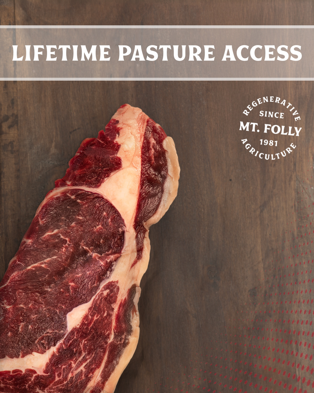 Photography & Graphic Design