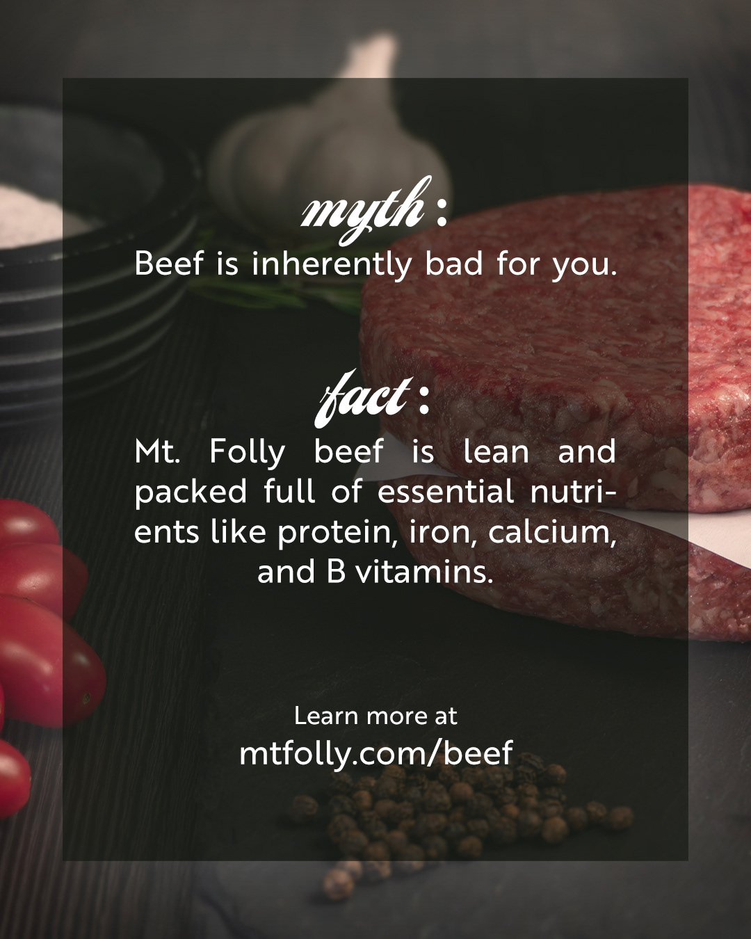 Photography & Social Media Content